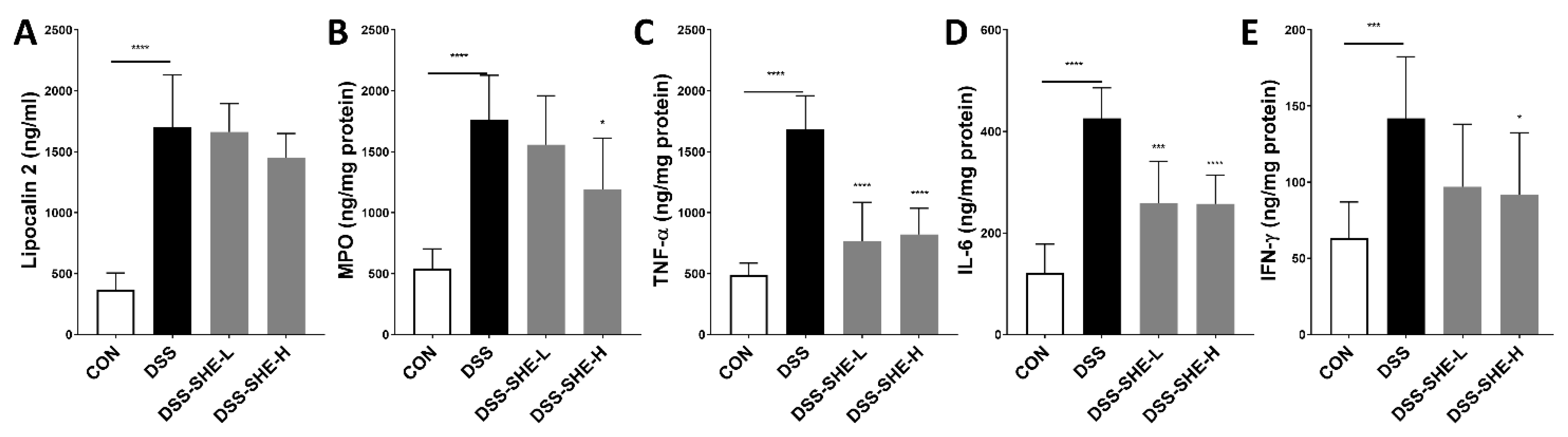 Applsci 13 01742 g005 Applsci 13 01742 g005