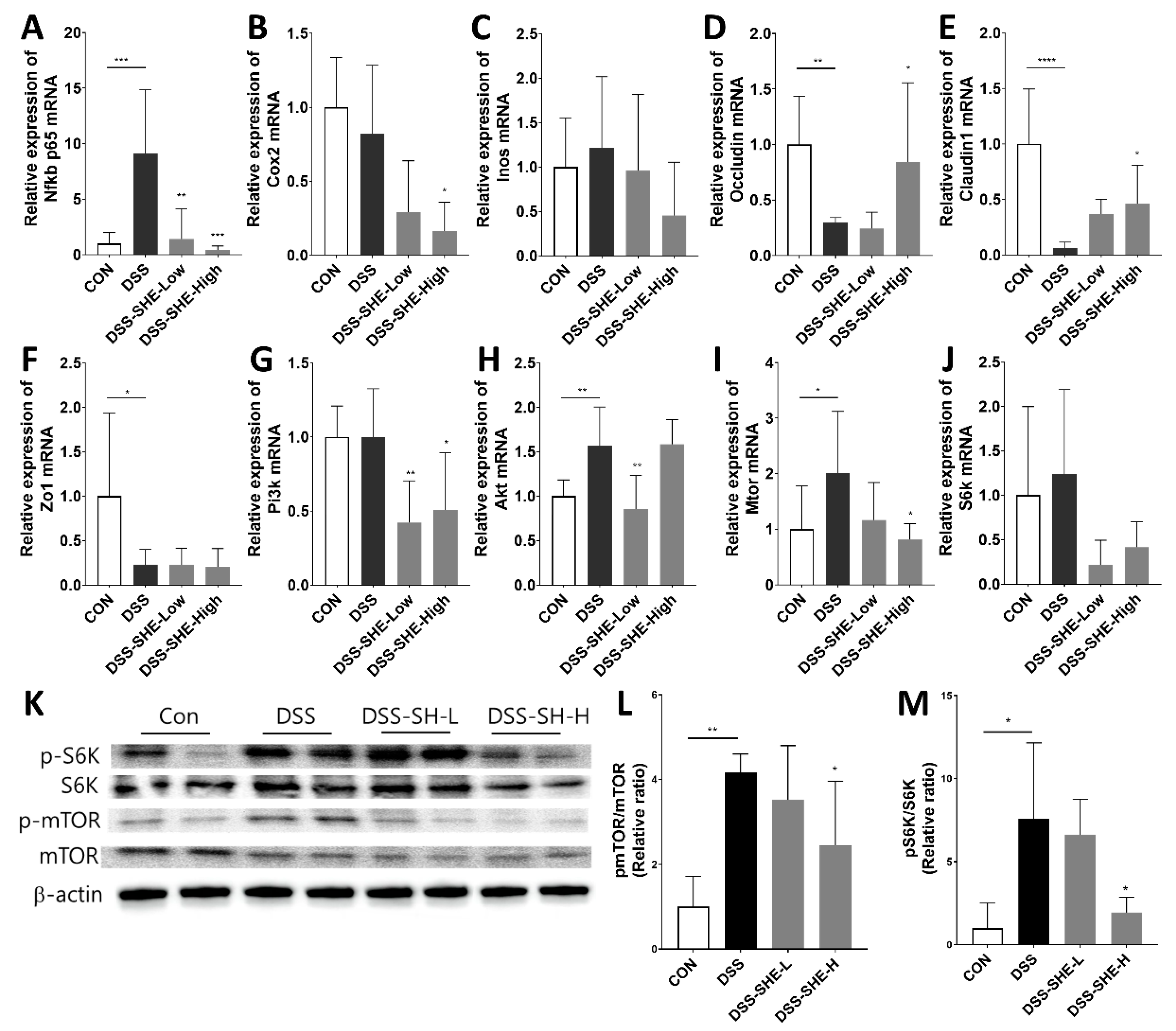Applsci 13 01742 g006 Applsci 13 01742 g006
