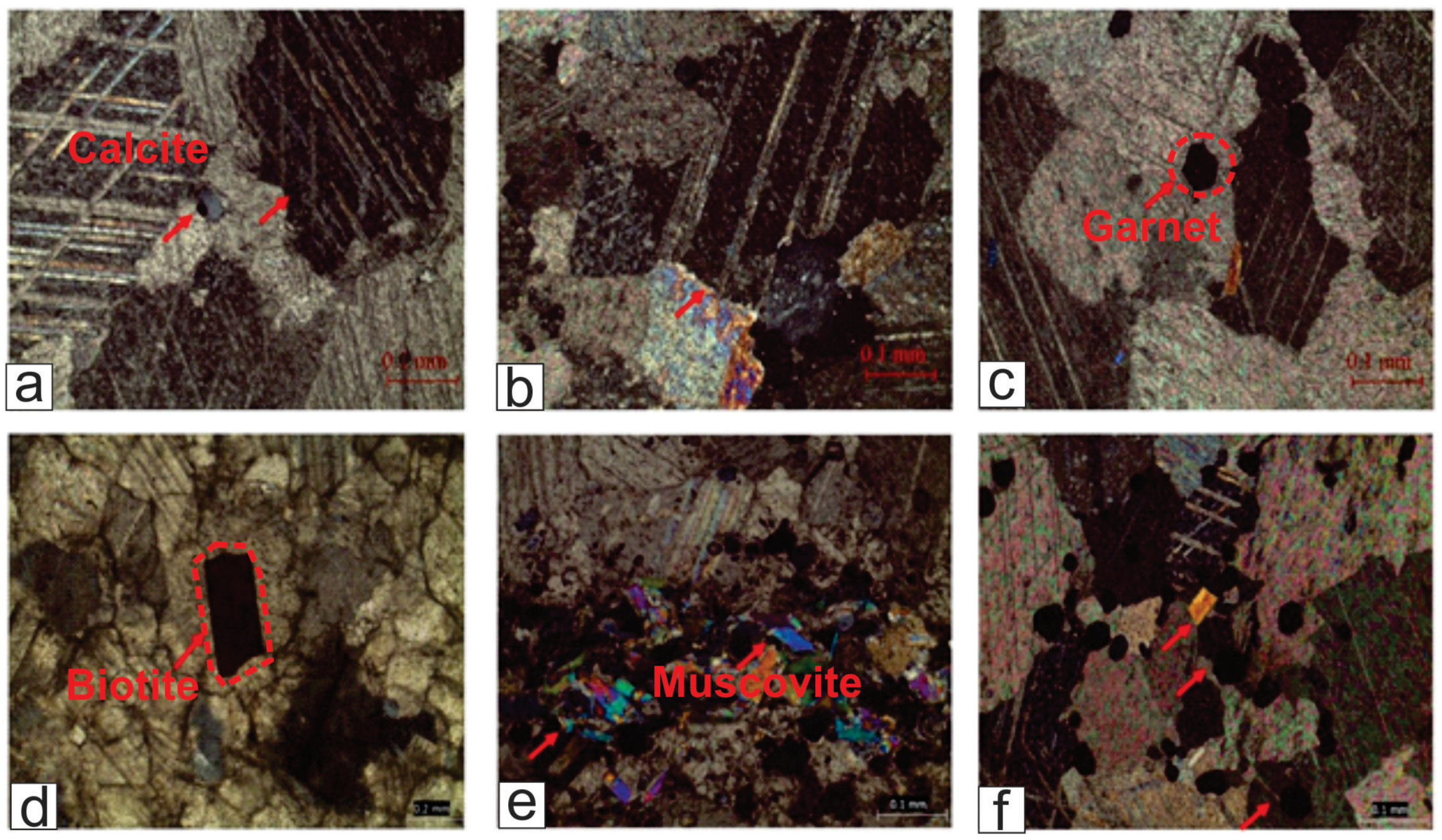 Applsci 13 01755 g003 Applsci 13 01755 g003