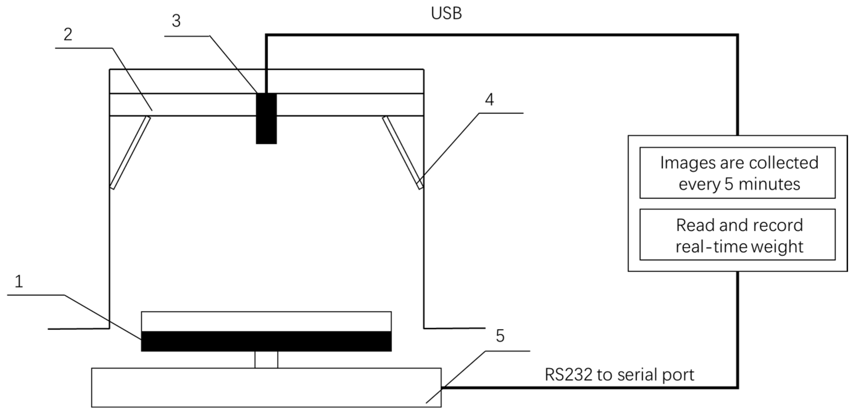 Applsci 13 01806 g005