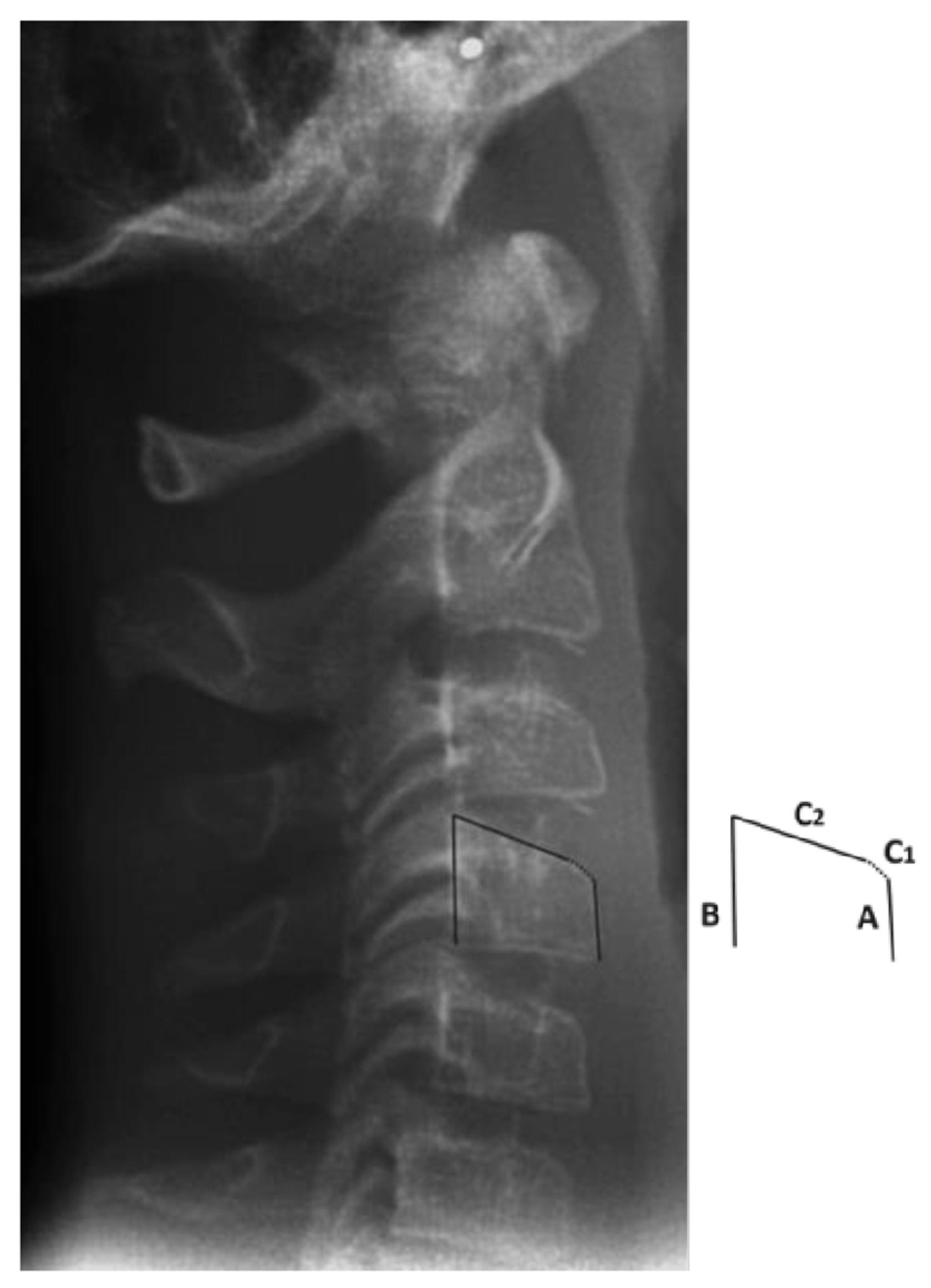 Applsci 13 01819 g002