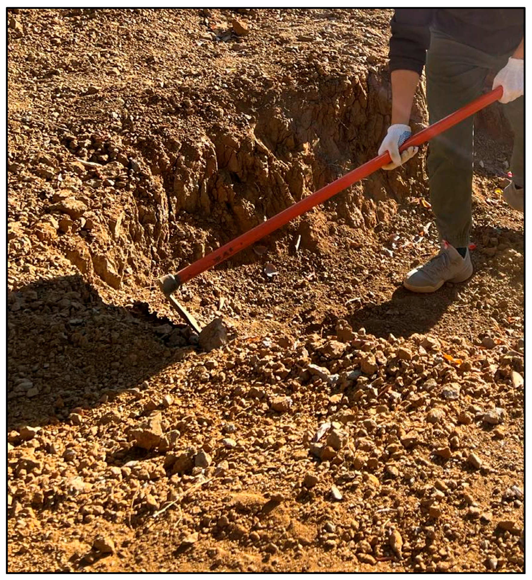 Applsci 13 01825 g001