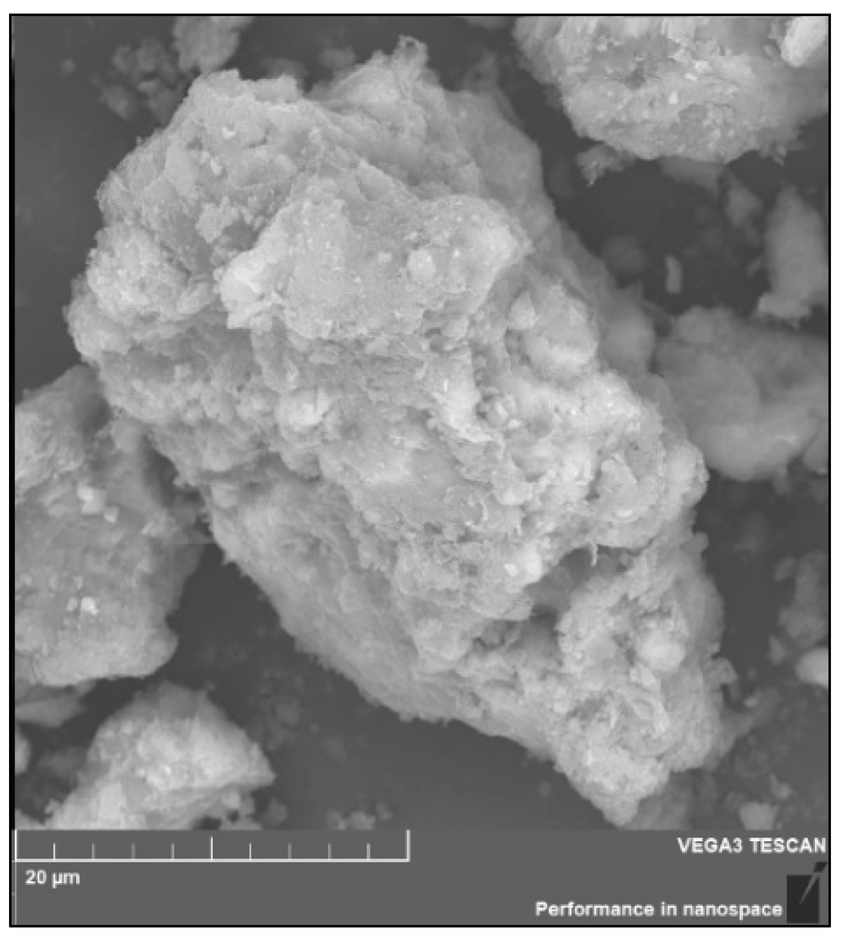 Applsci 13 01825 g007