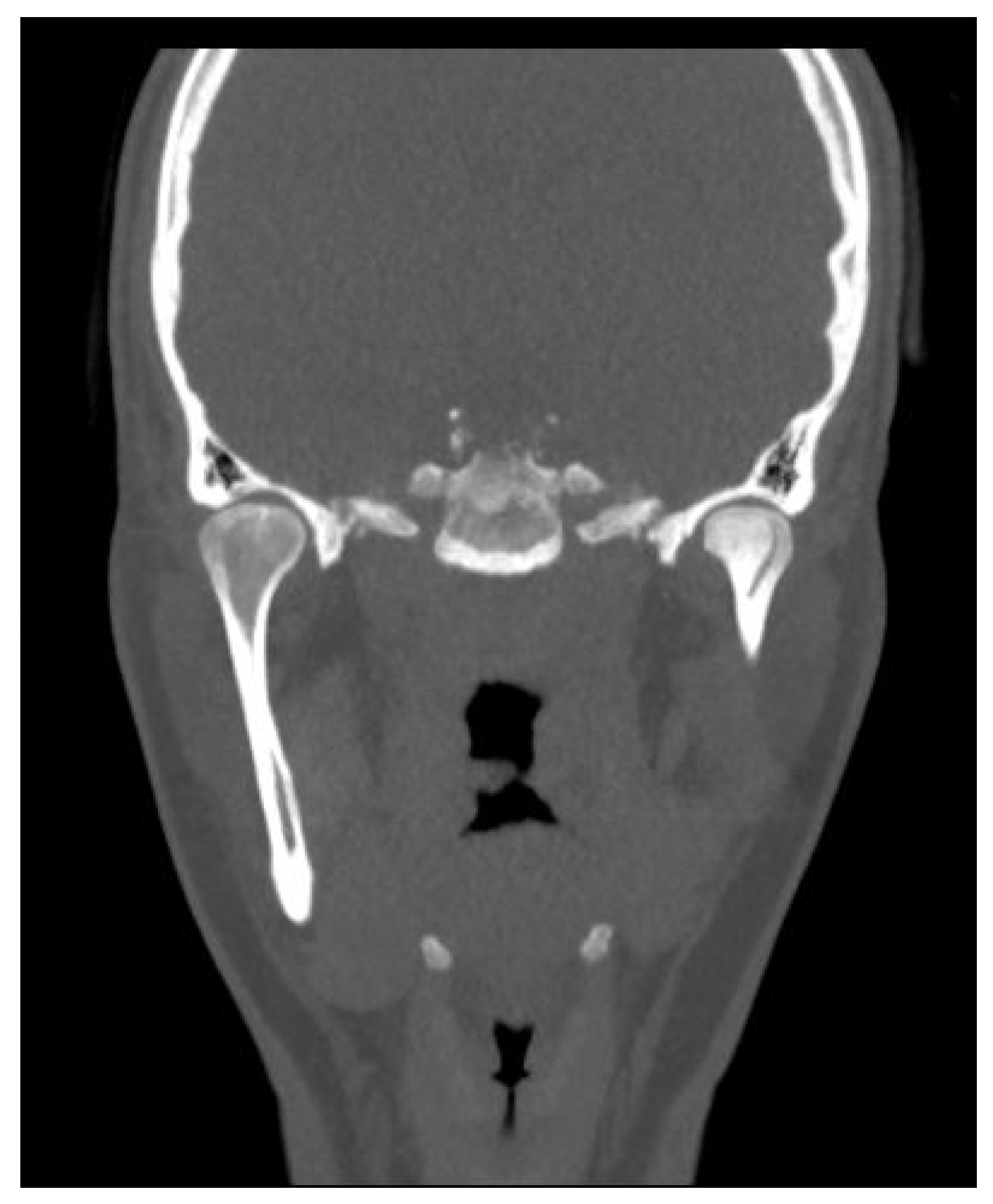 Applsci 13 01839 g004 Applsci 13 01839 g004