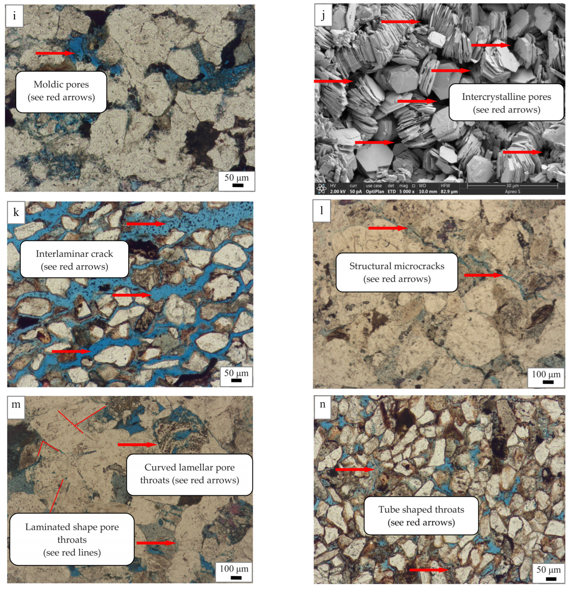 Applsci 13 01847 g005b Applsci 13 01847 g005b