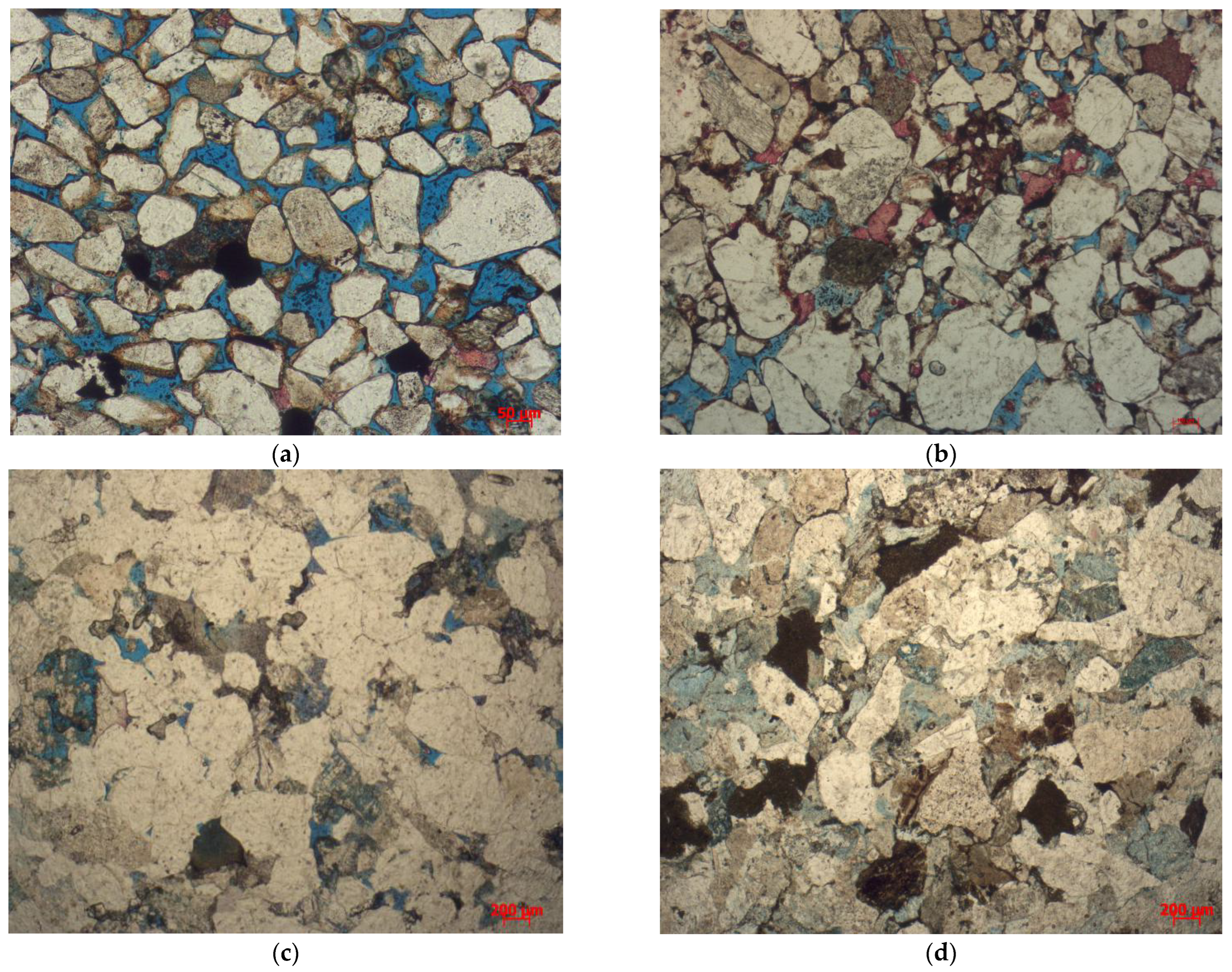 Applsci 13 01847 g010 Applsci 13 01847 g010