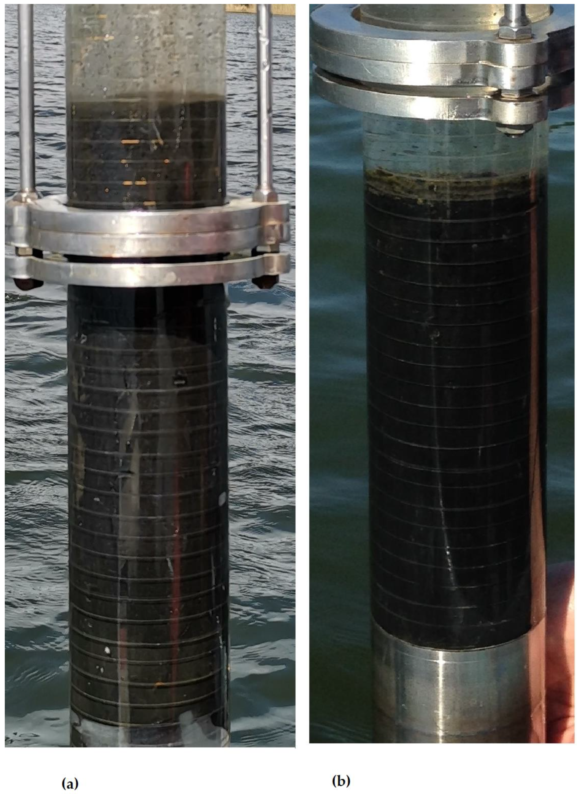 Applsci 13 01861 g001