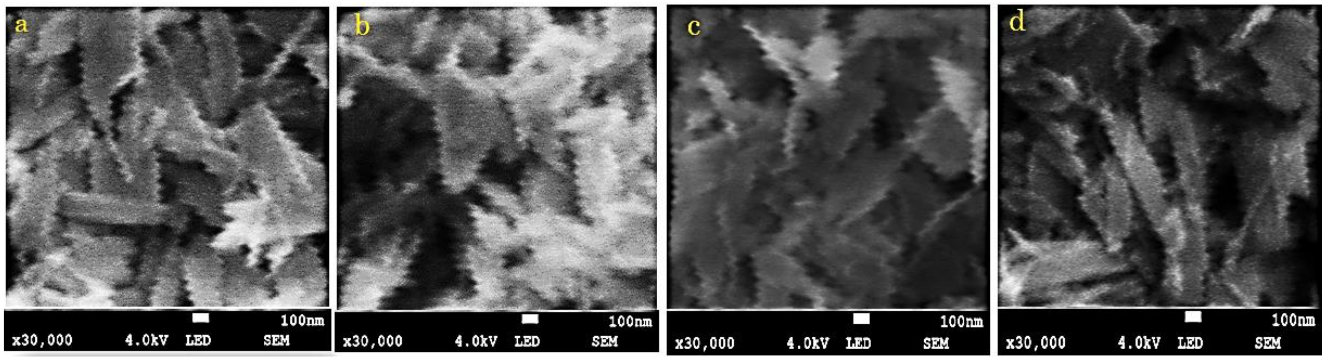 Applsci 13 01867 g003