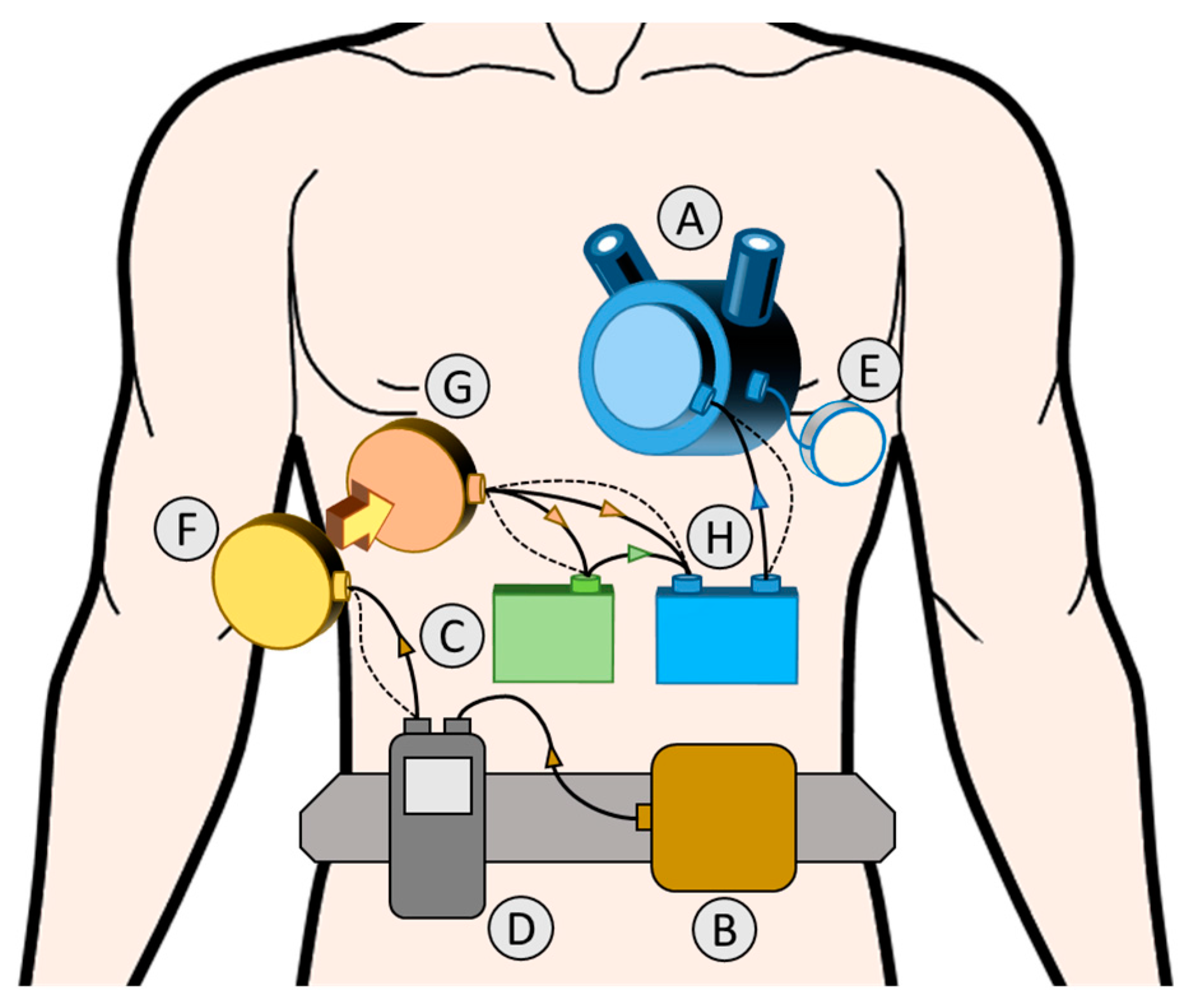 Applsci 13 01870 g002 Applsci 13 01870 g002