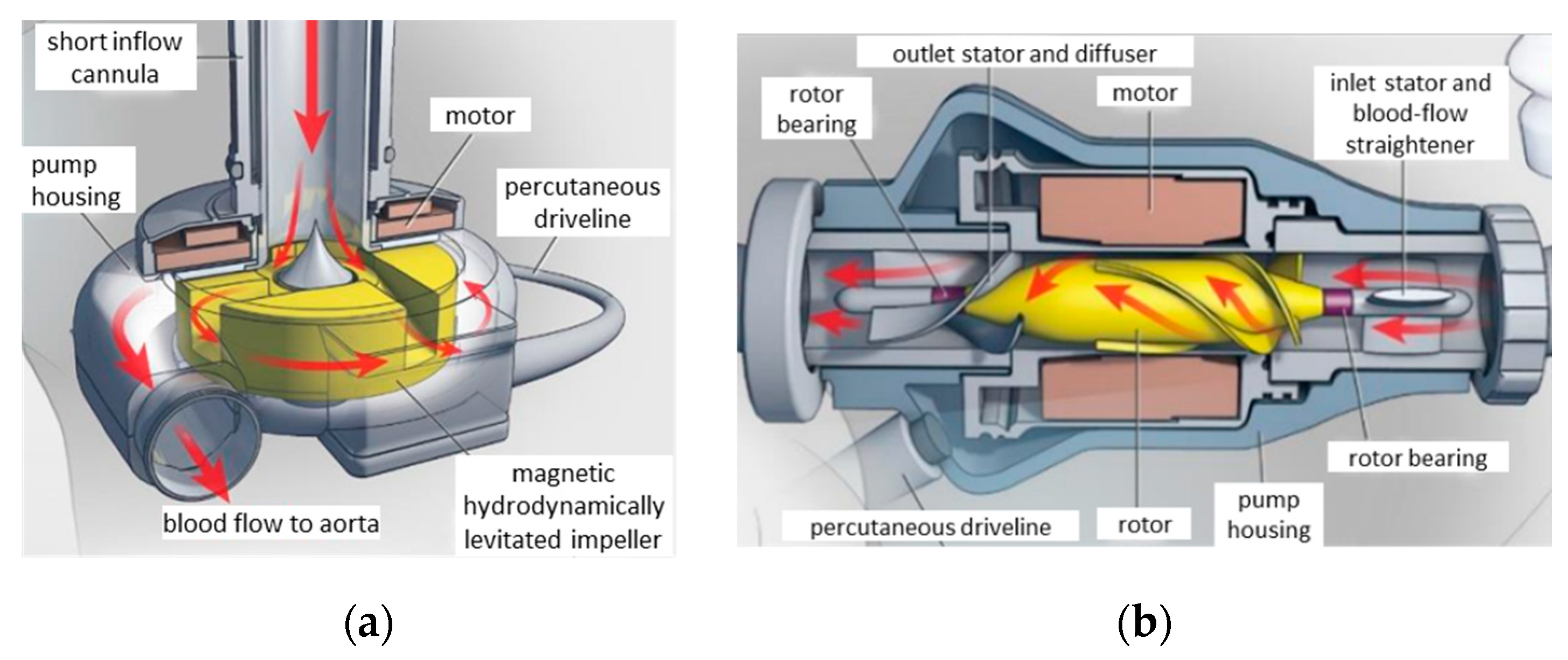 Applsci 13 01870 g003 Applsci 13 01870 g003