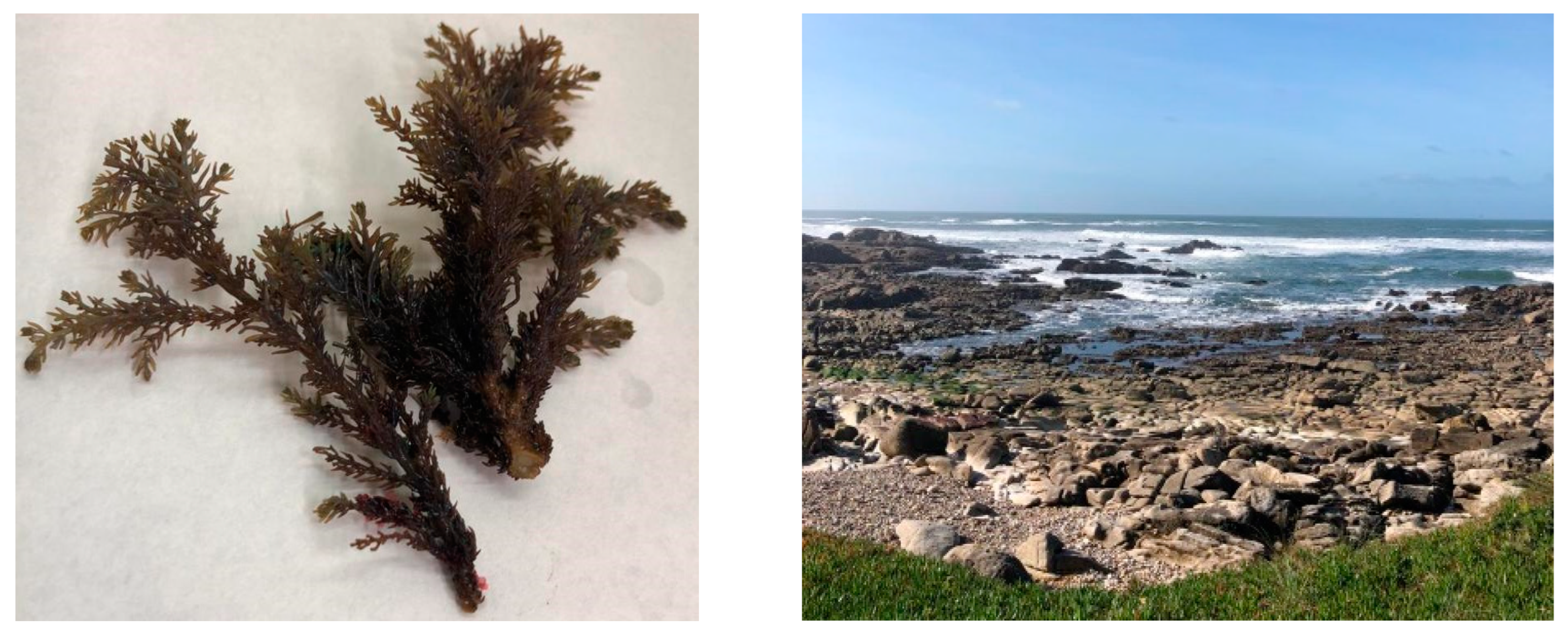 Applsci 13 01883 g002