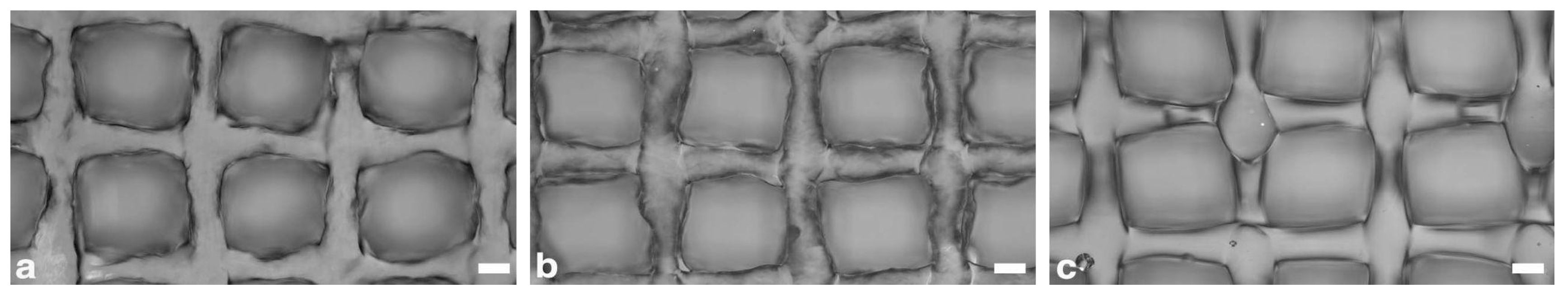 Applsci 13 01889 g003