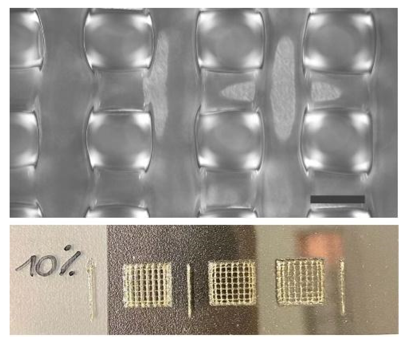 Applsci 13 01889 g004