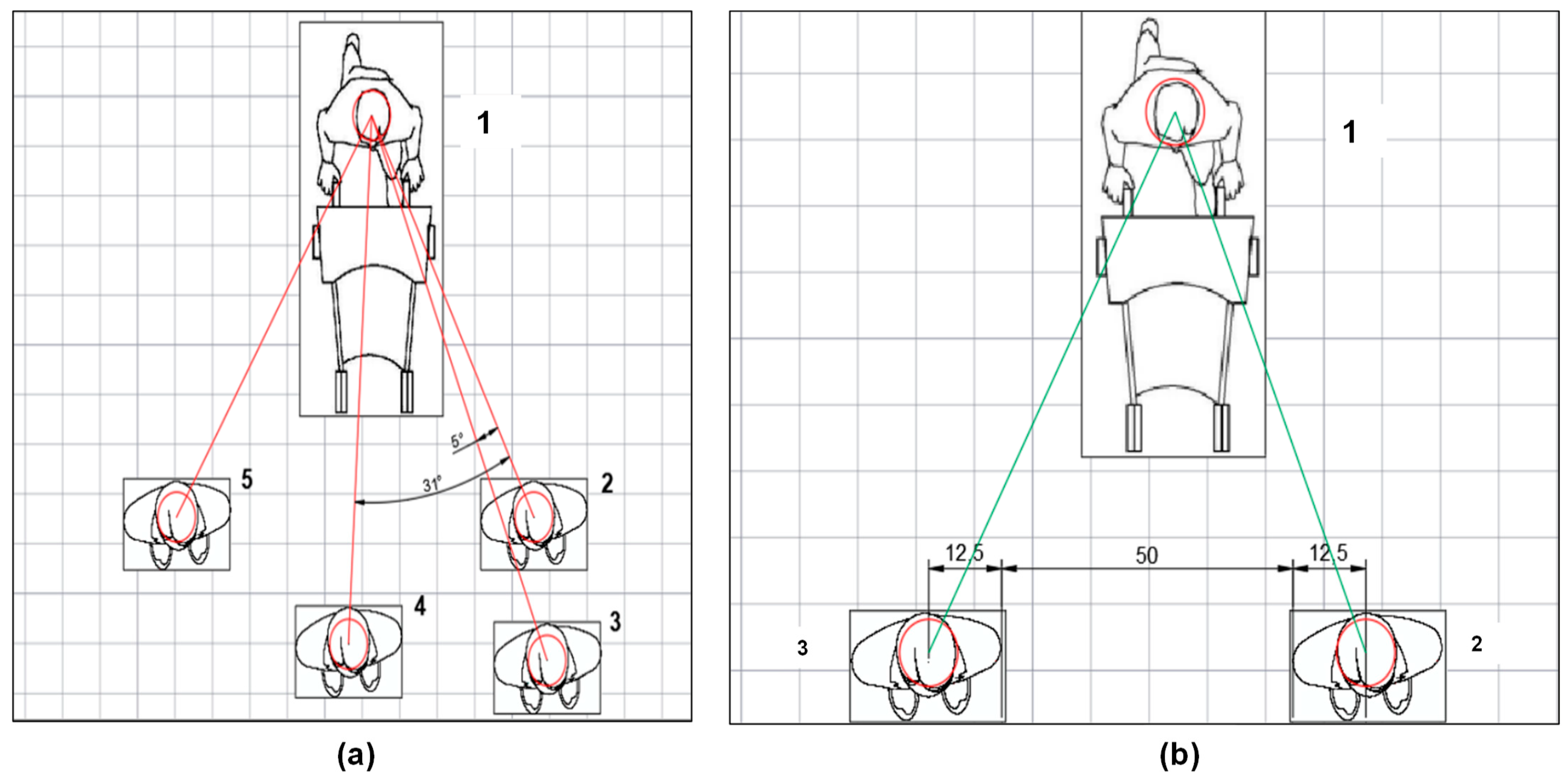 Applsci 13 01895 g002