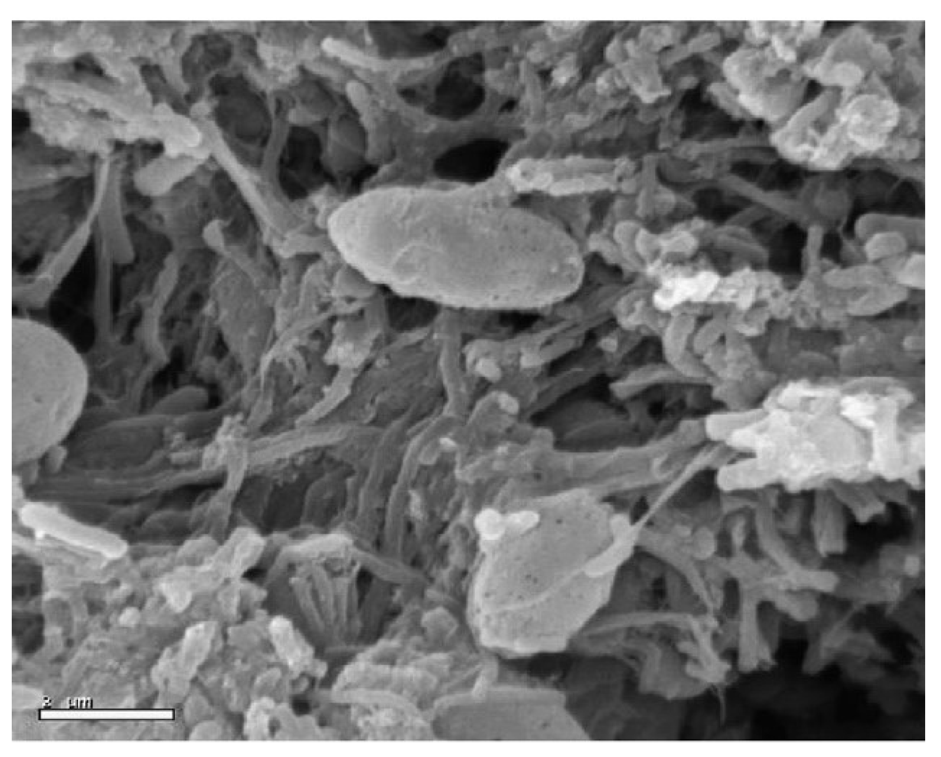 Applied Sciences Free FullText Zeolites A Theoretical and