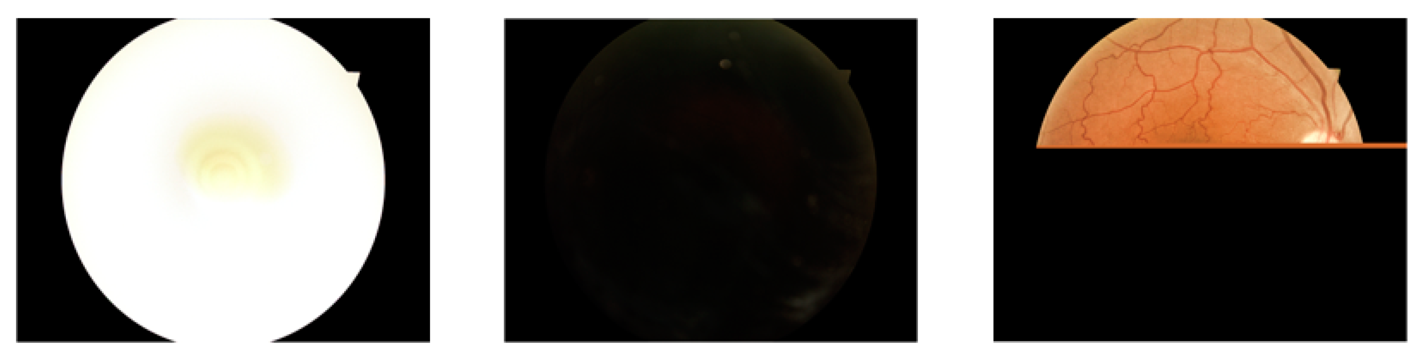 Applsci 13 01901 g001