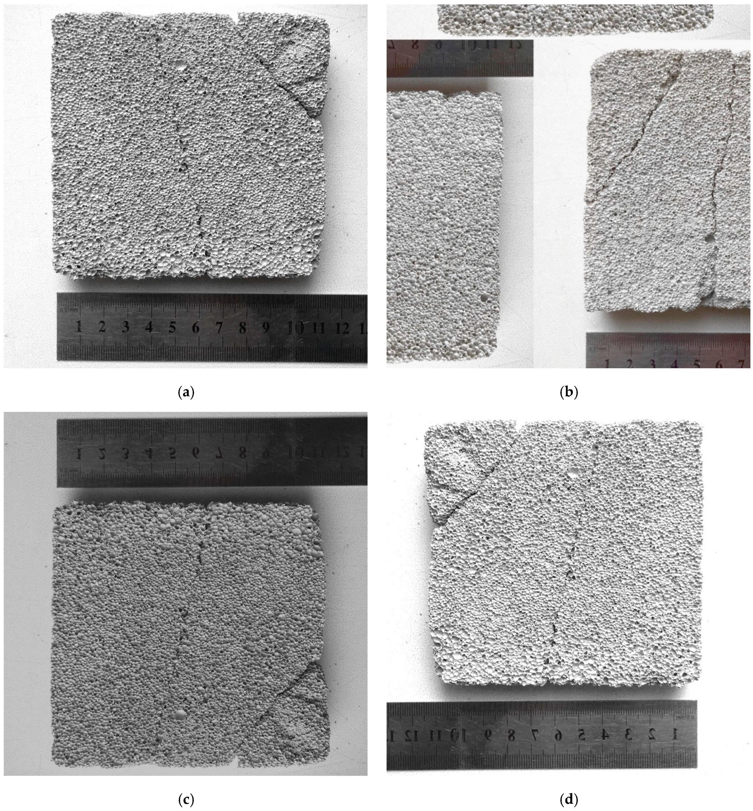 Applsci 13 01904 g003a 550