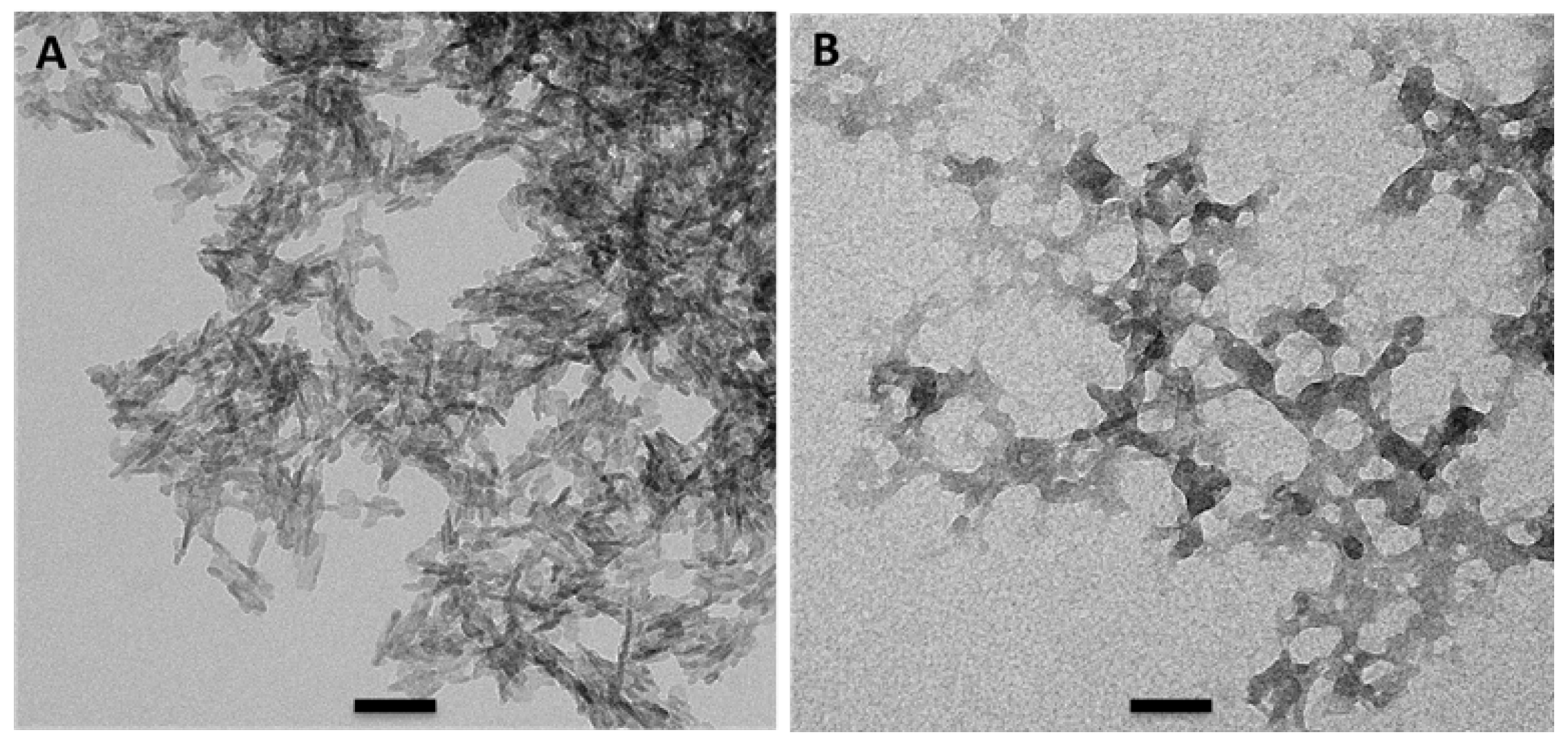 Applsci 13 01906 g001 Applsci 13 01906 g001