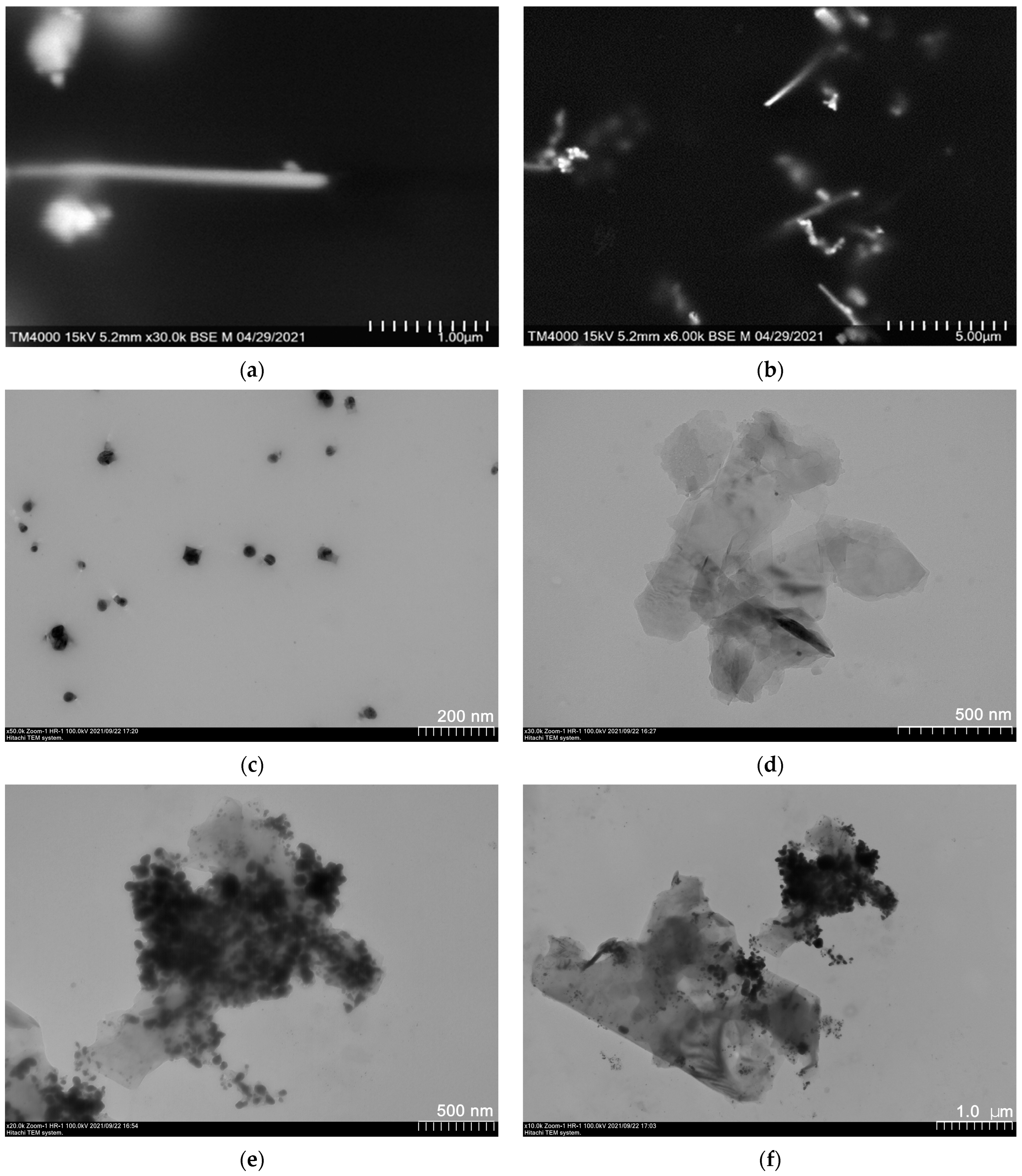 Applsci 13 01922 g002 Applsci 13 01922 g002