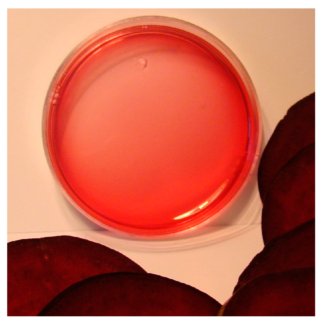 Applsci 13 01926 g003 Applsci 13 01926 g003