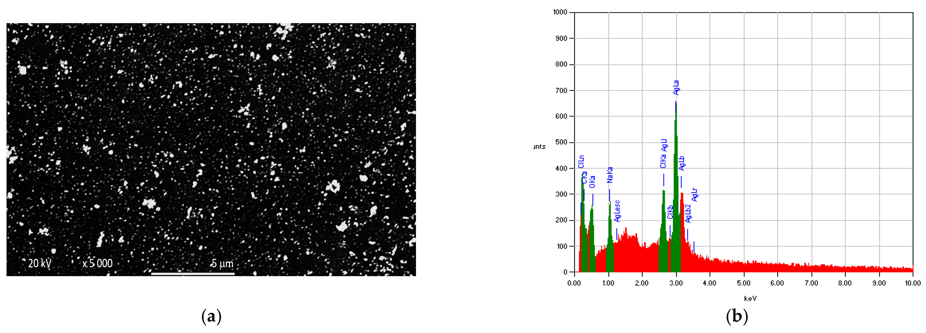 Applsci 13 01926 g007 Applsci 13 01926 g007