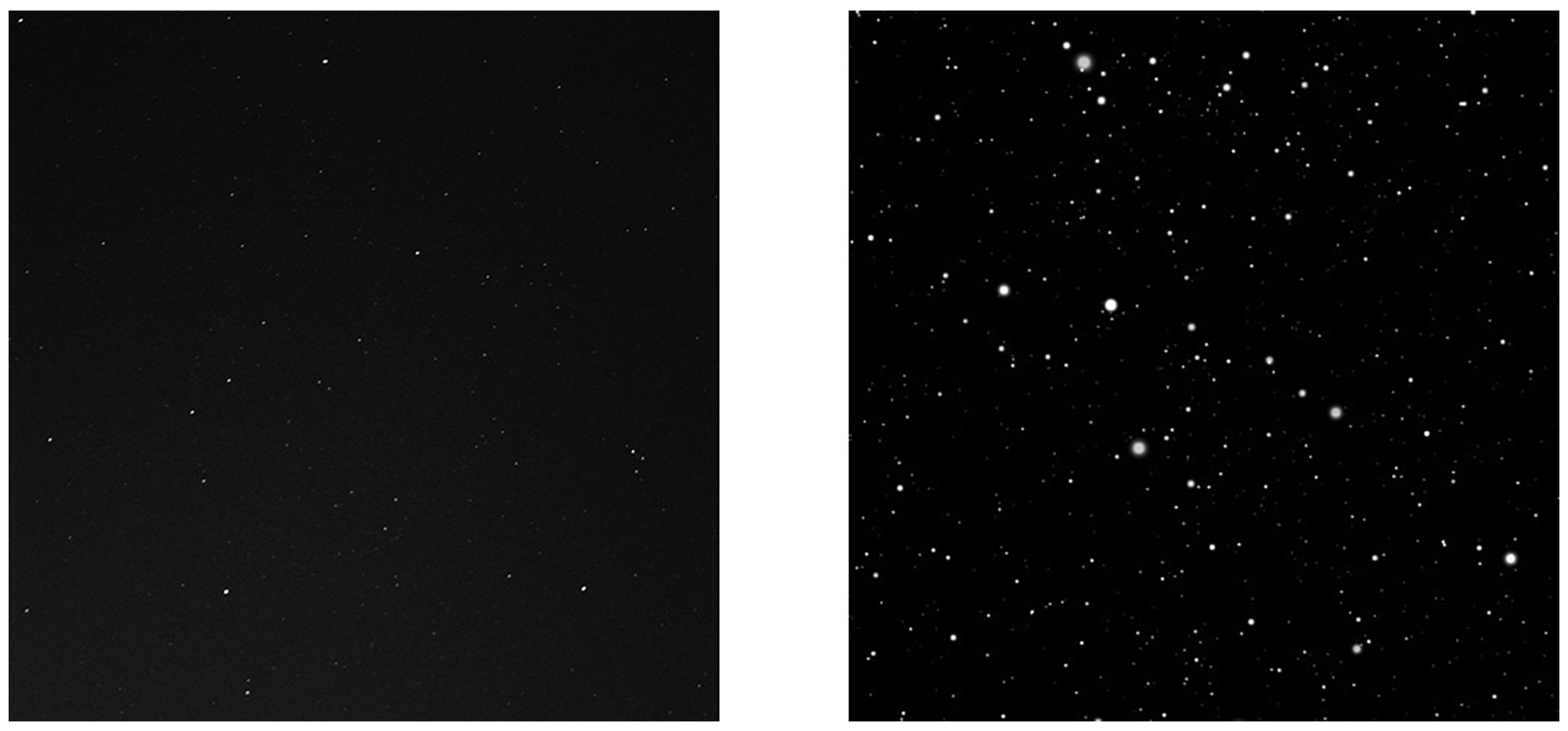 Applsci 13 01947 g002 550