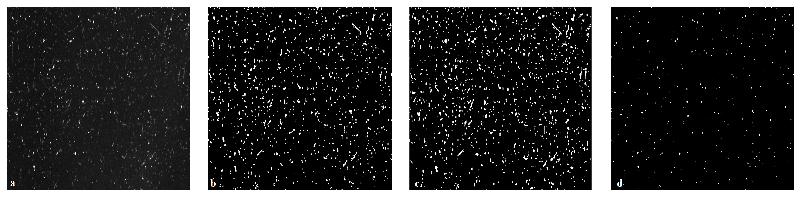 Applsci 13 01947 g014 550