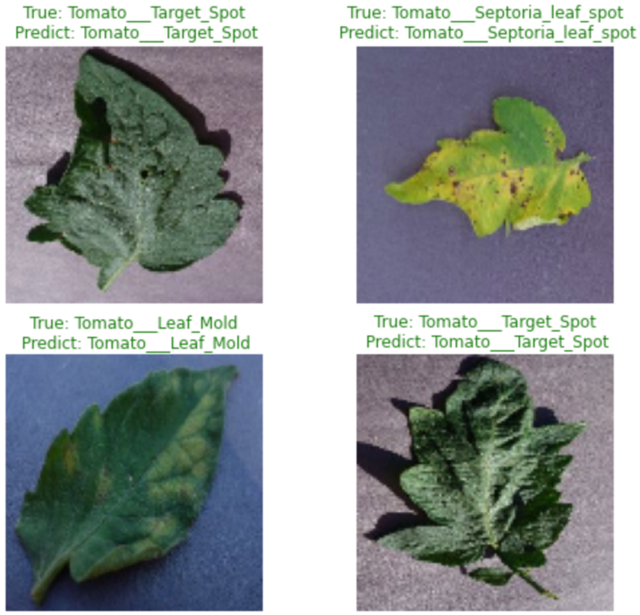 Applsci 13 01961 g014