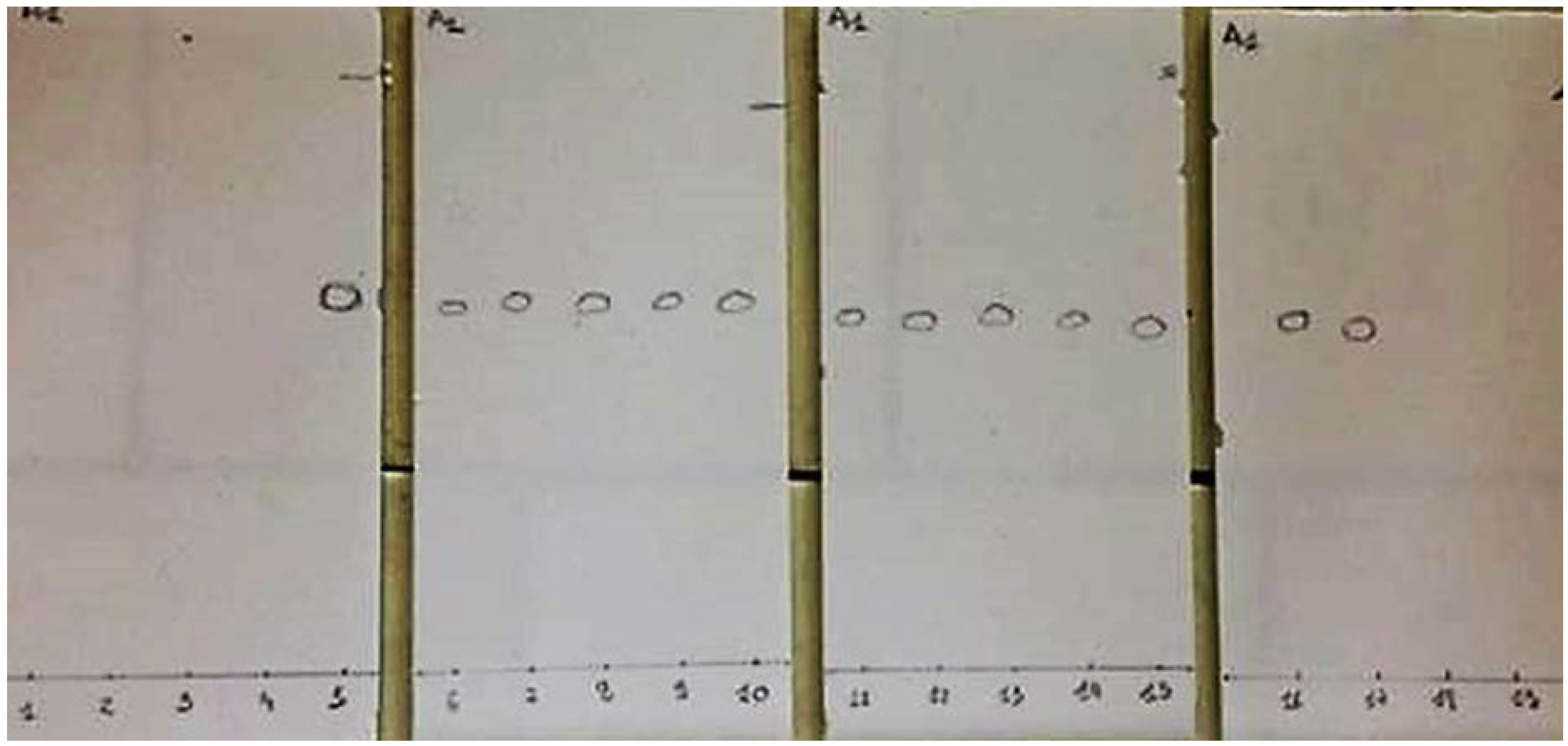 Applsci 13 01976 g002