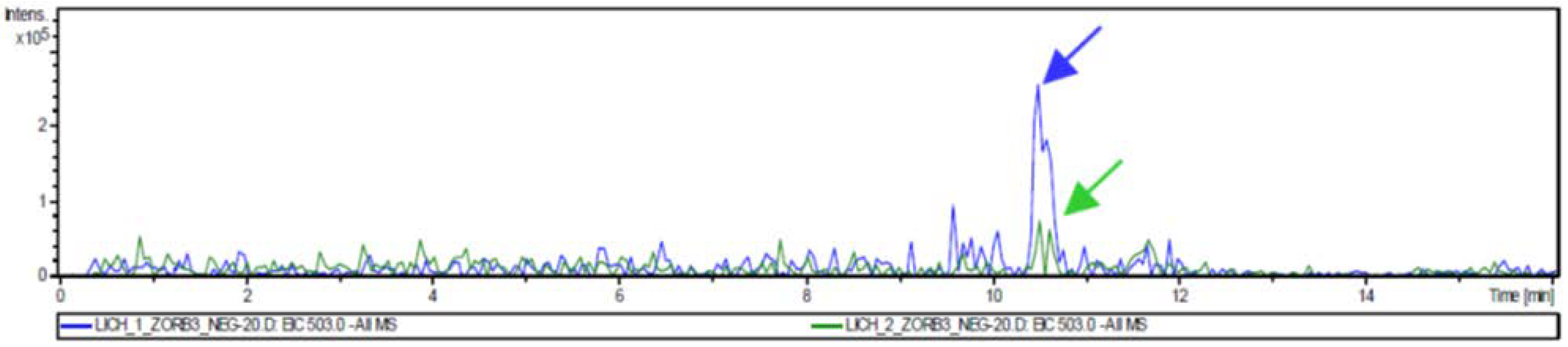 Applsci 13 01976 g004