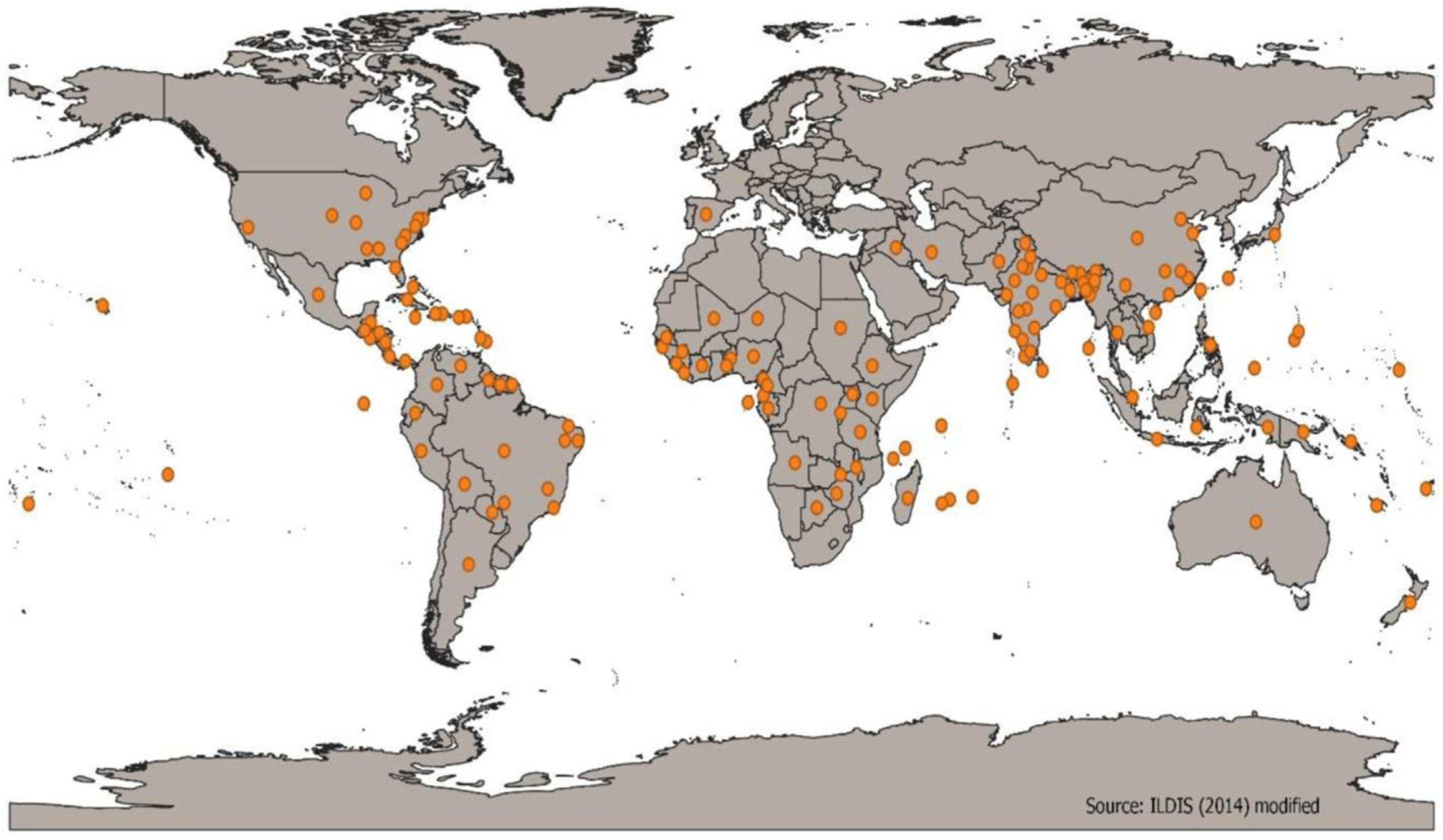 Applsci 13 01996 g001