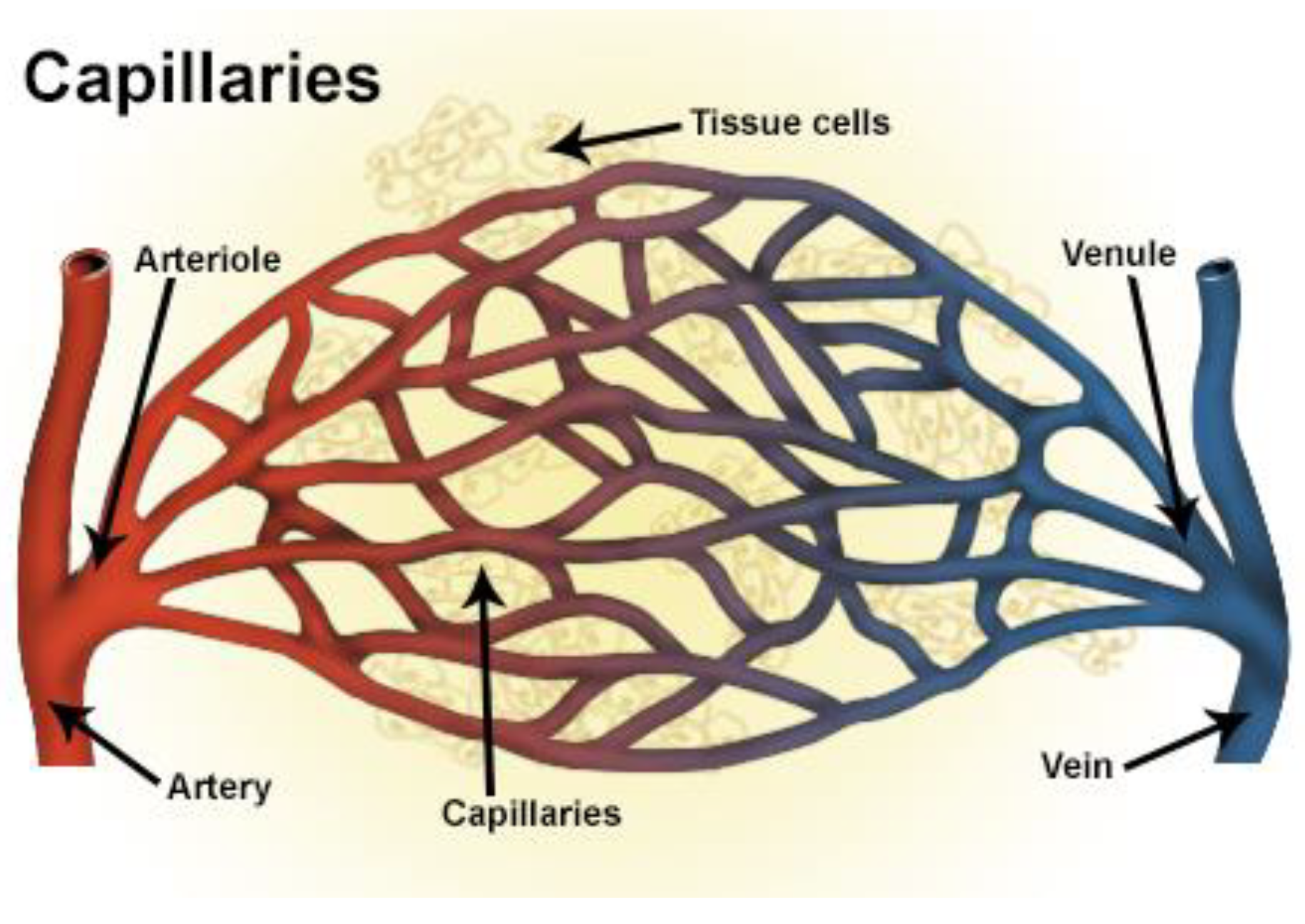 Applsci 13 02000 g001 Applsci 13 02000 g001