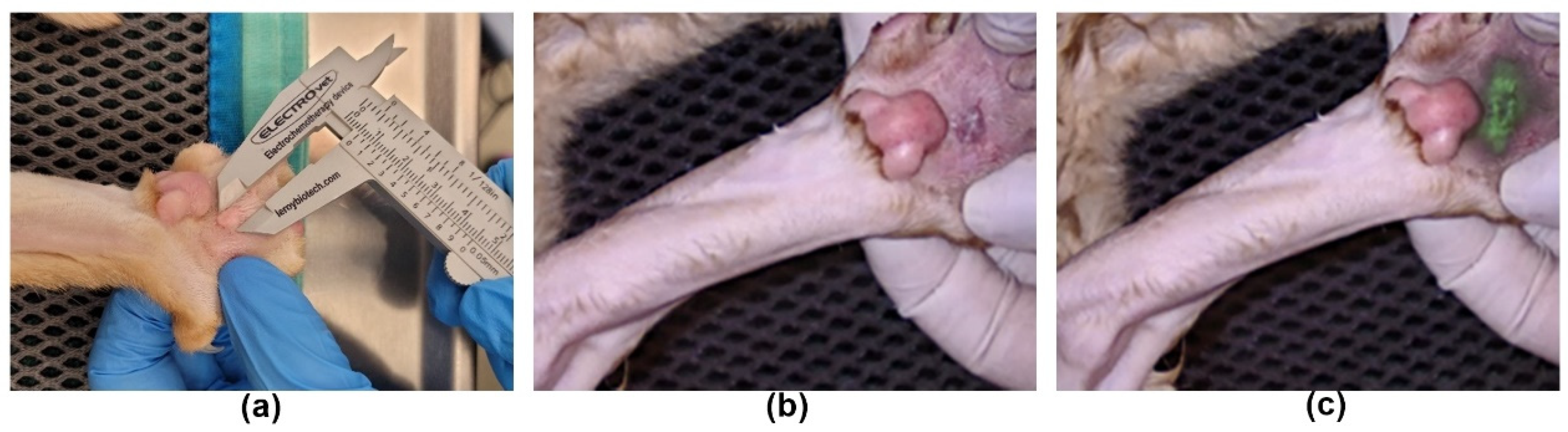 Applsci 13 02027 g001 550