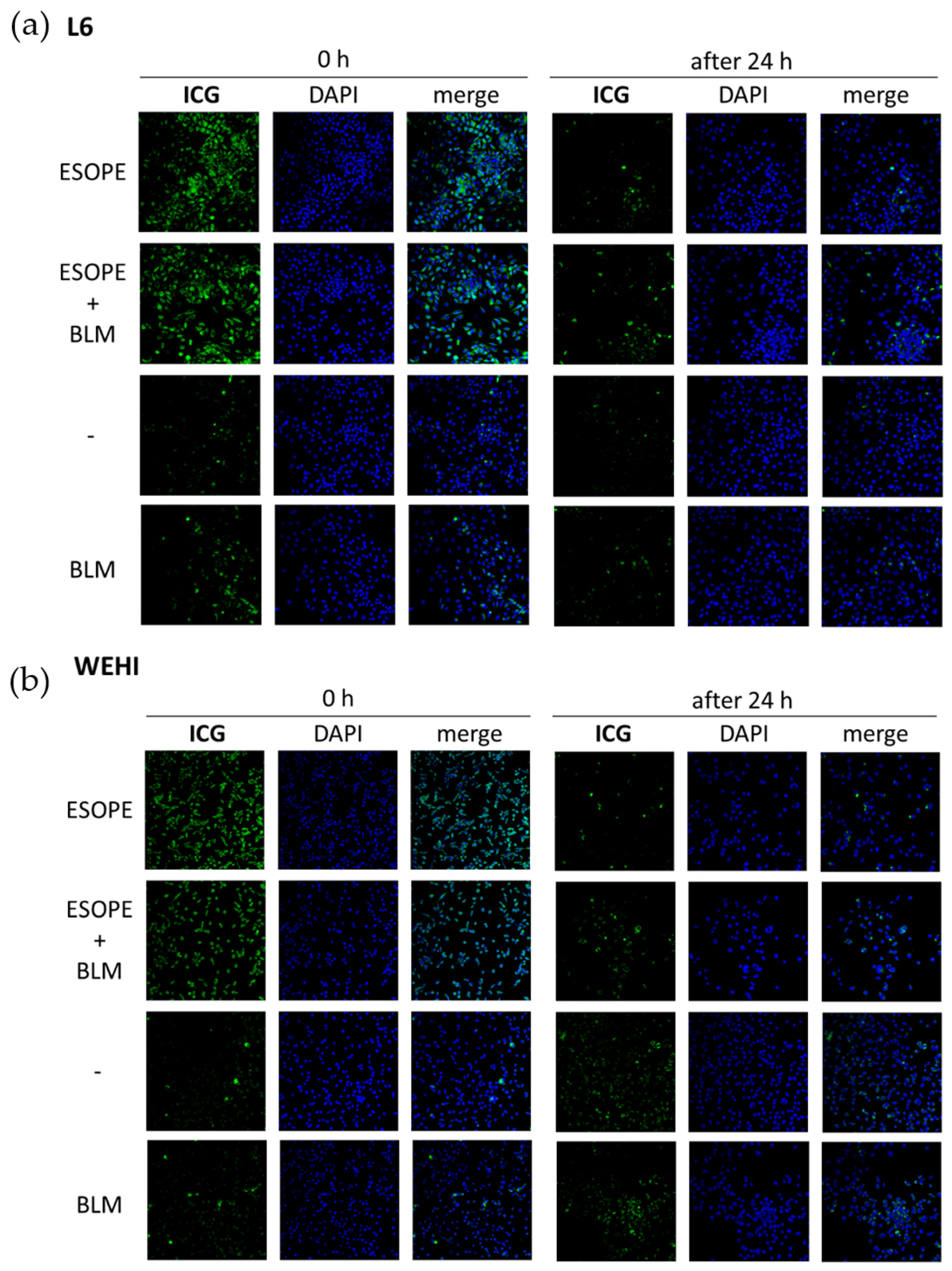 Applsci 13 02027 g004a 550