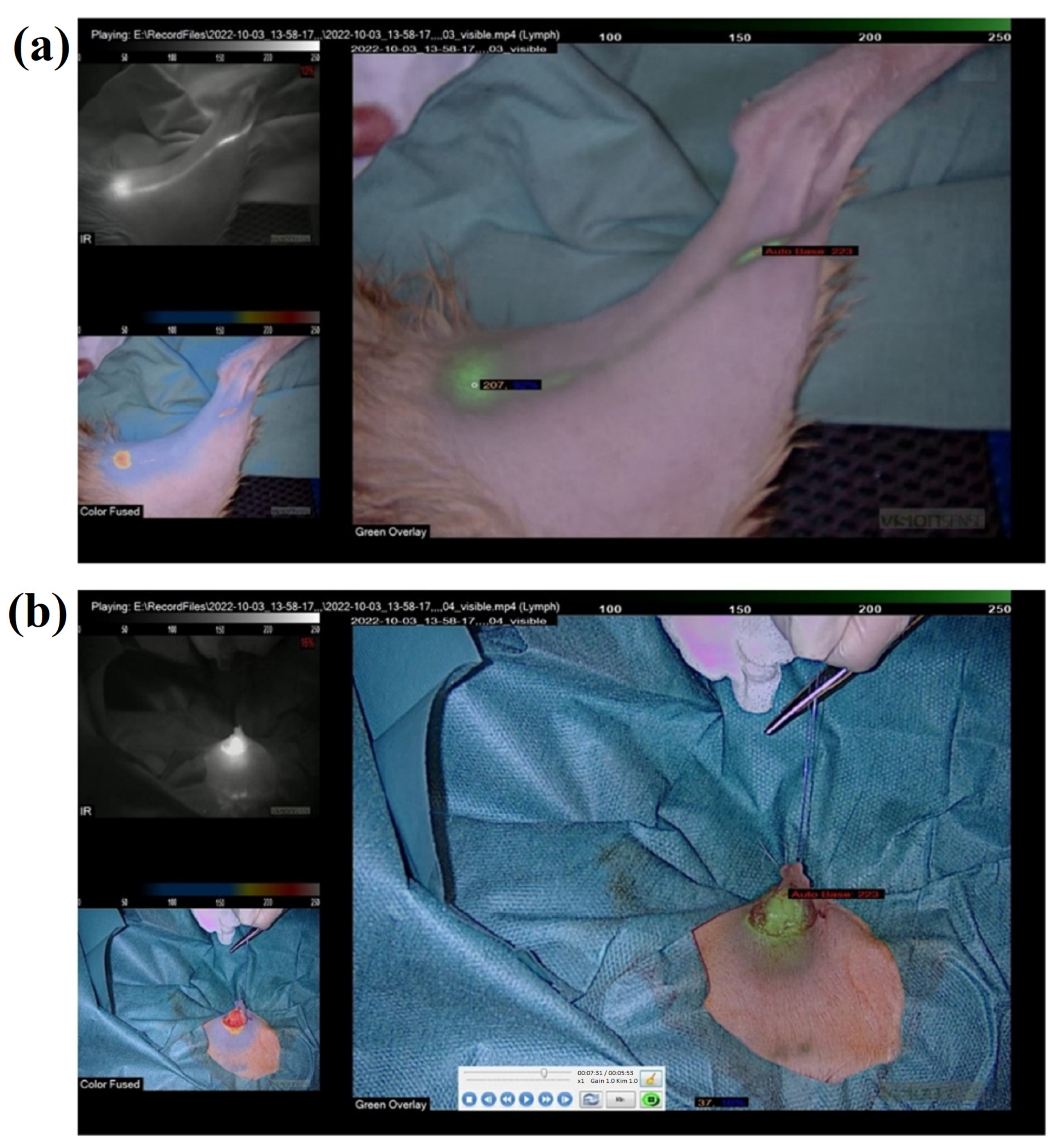 Applsci 13 02027 g005 550