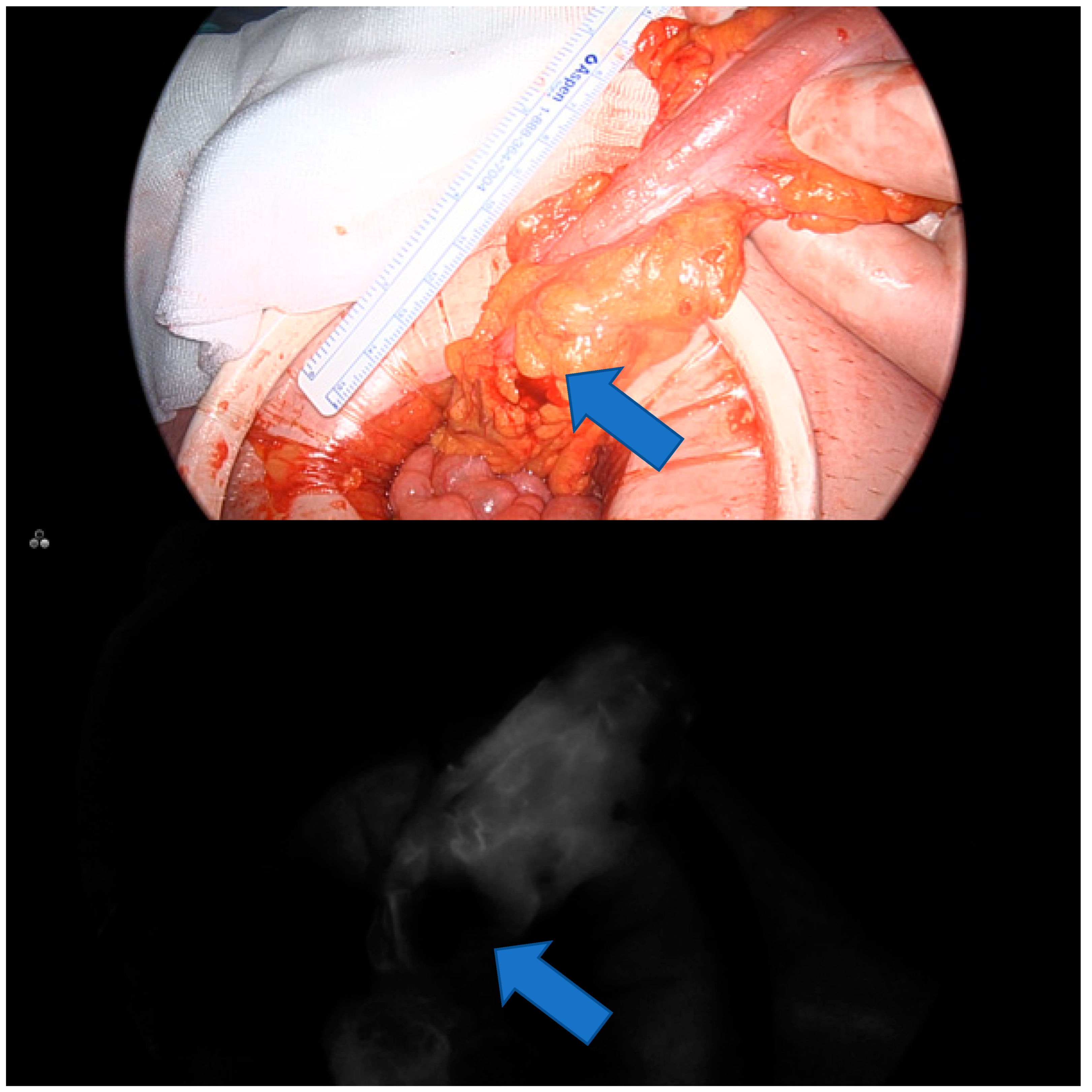 Applsci 13 02042 g001