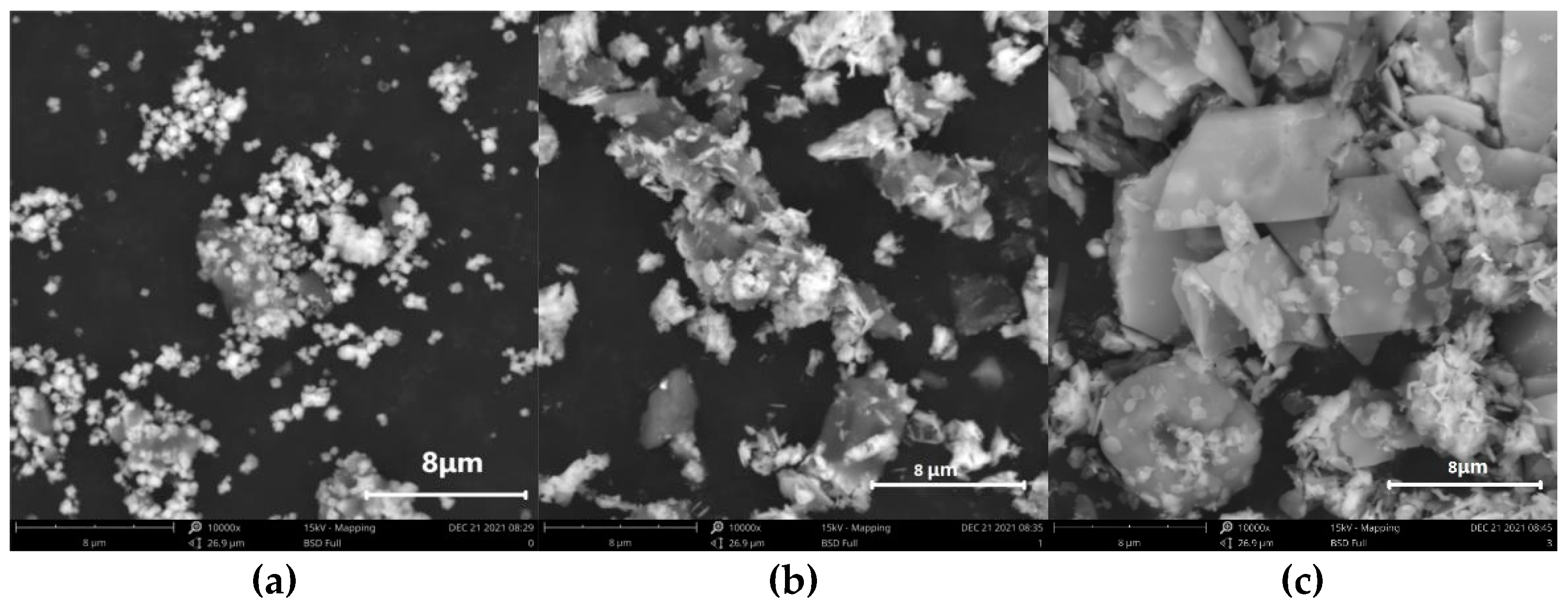 Applsci 13 02048 g001 550