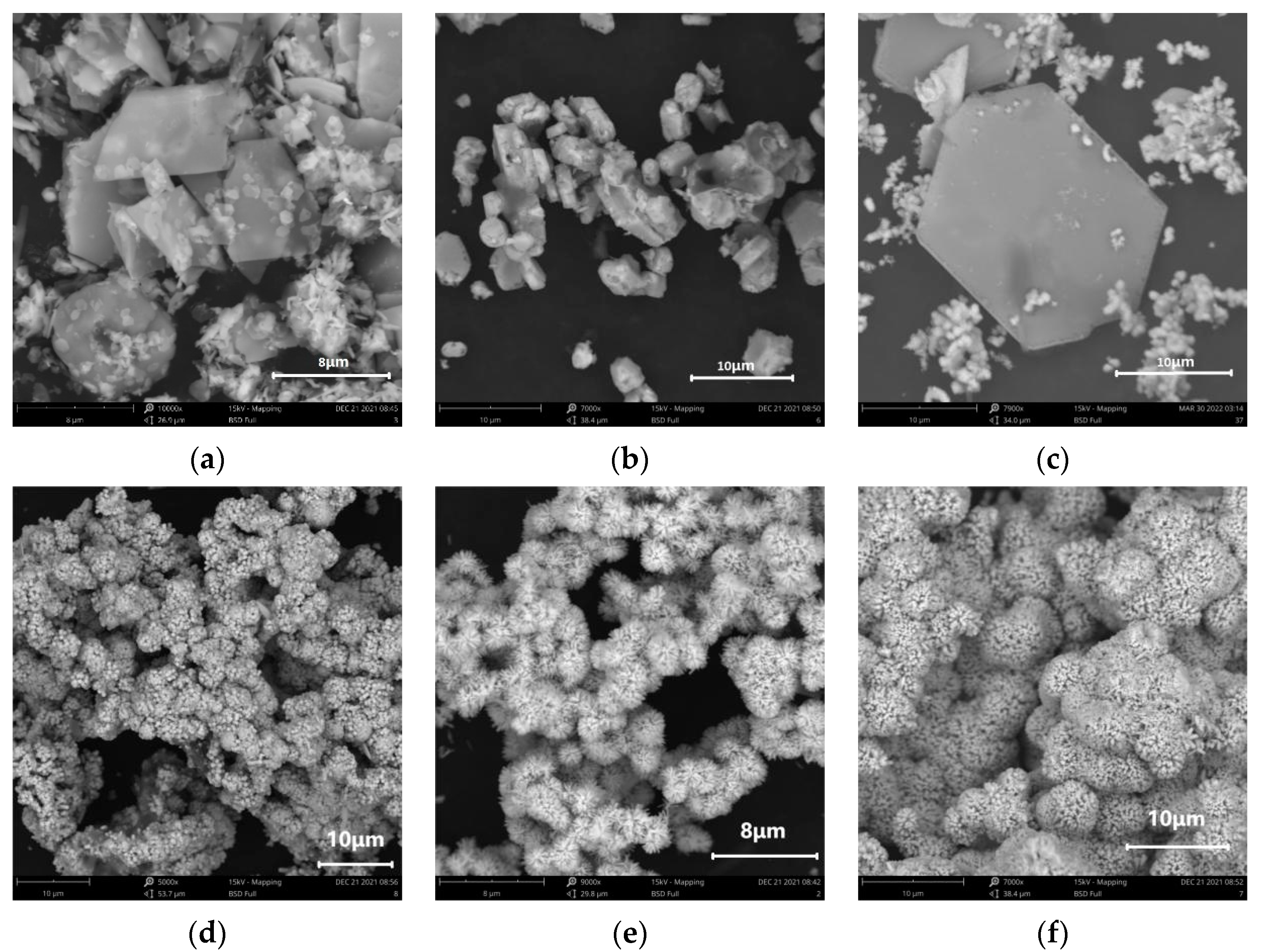 Applsci 13 02048 g002 550