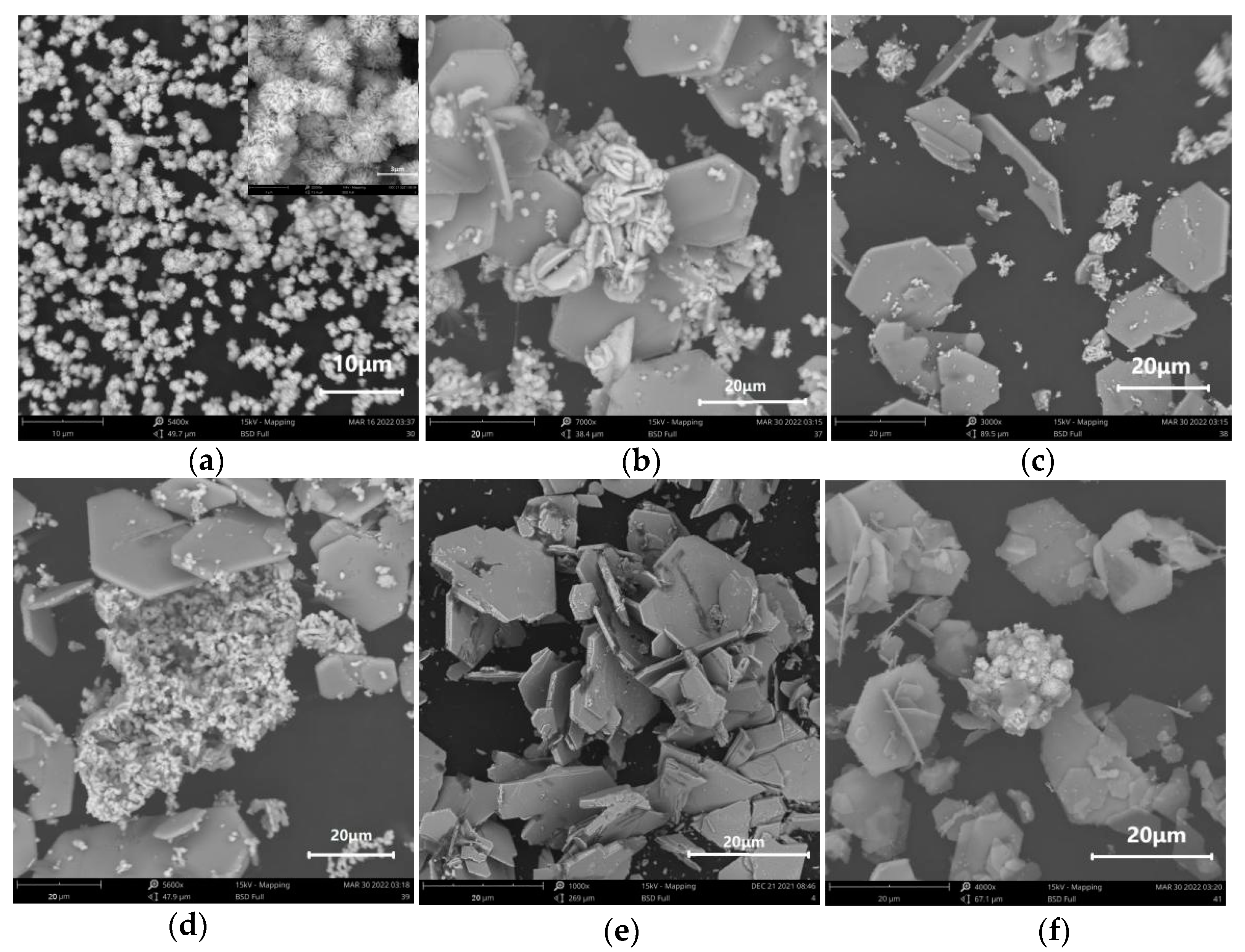 Applsci 13 02048 g004 550