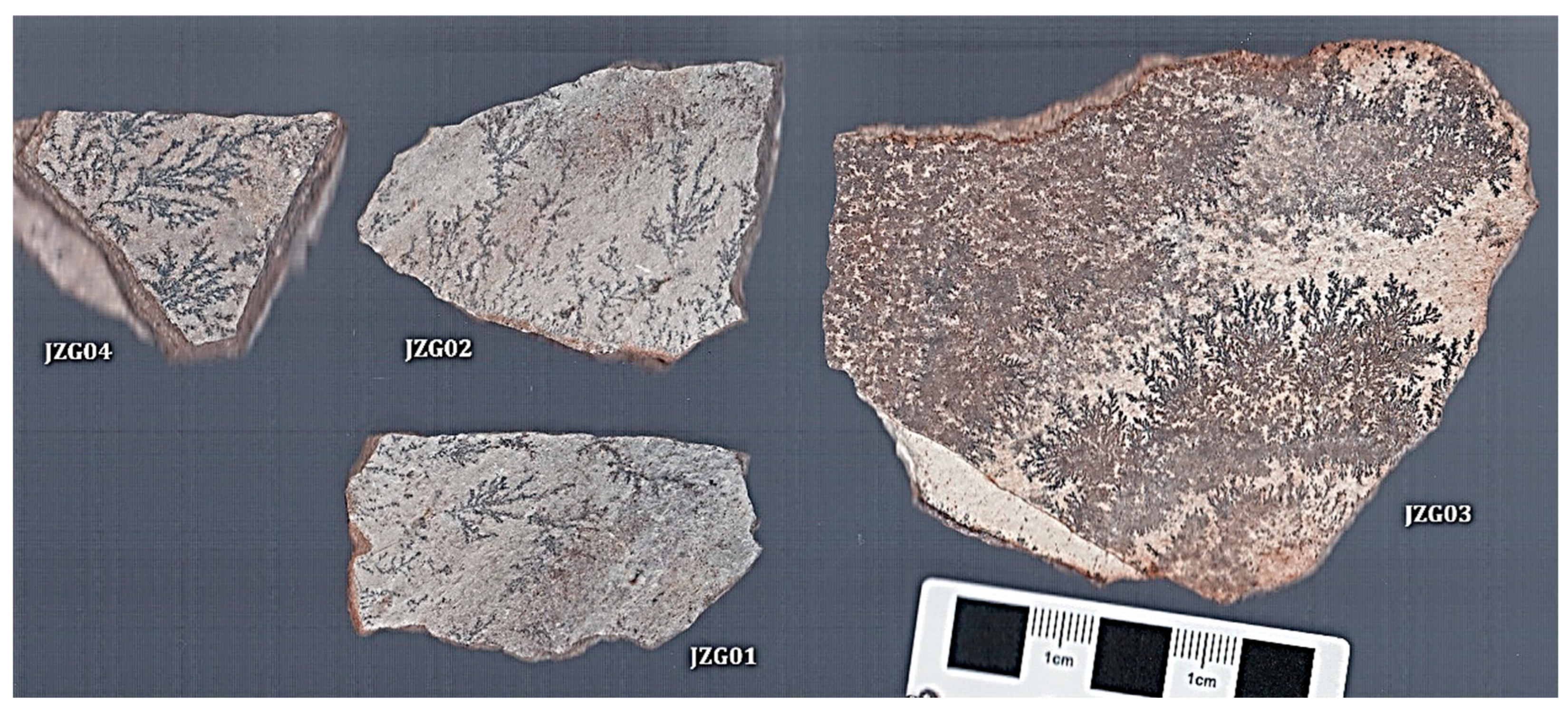 Applsci 13 02049 g001 Applsci 13 02049 g001