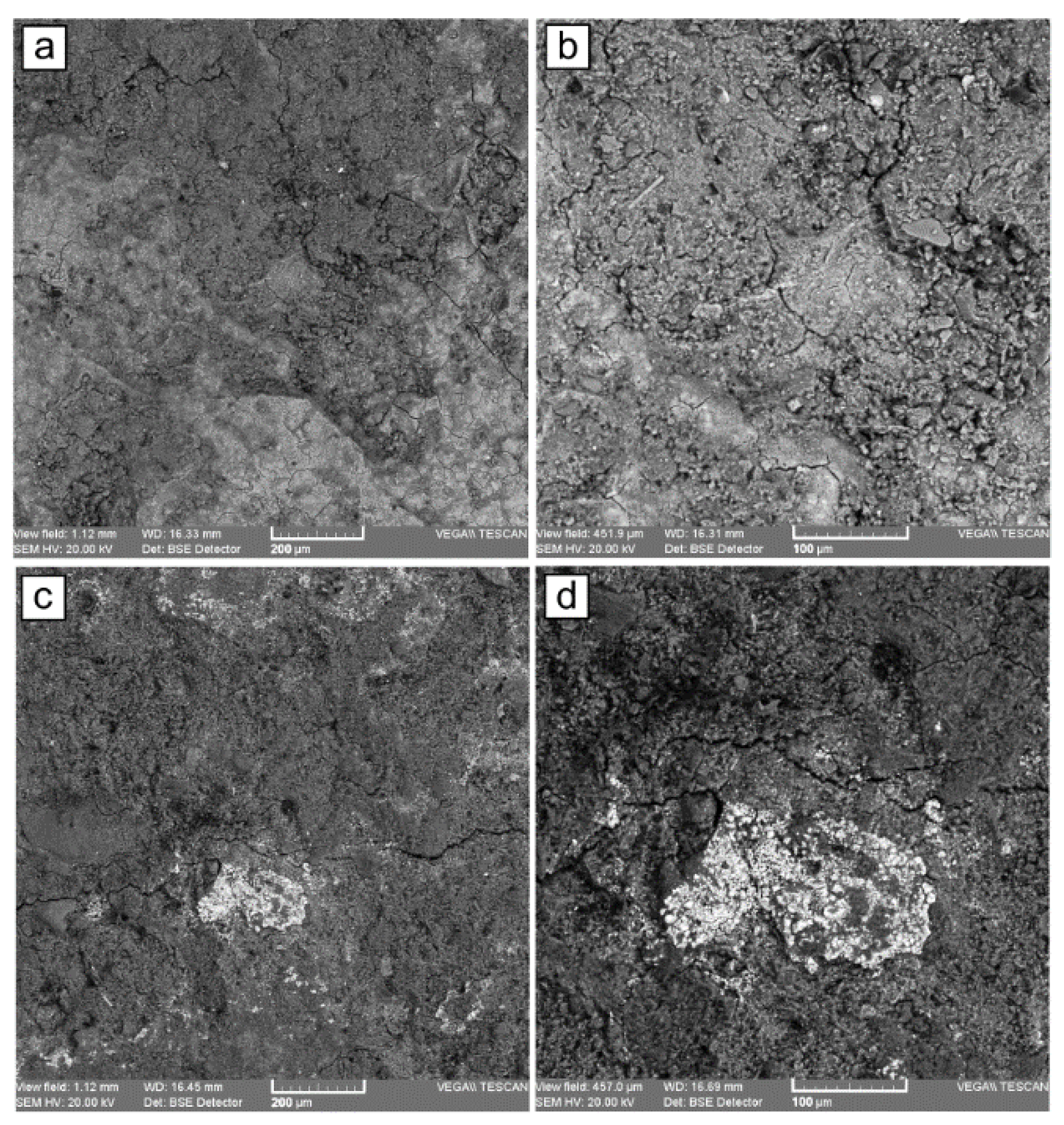 Applsci 13 02093 g008