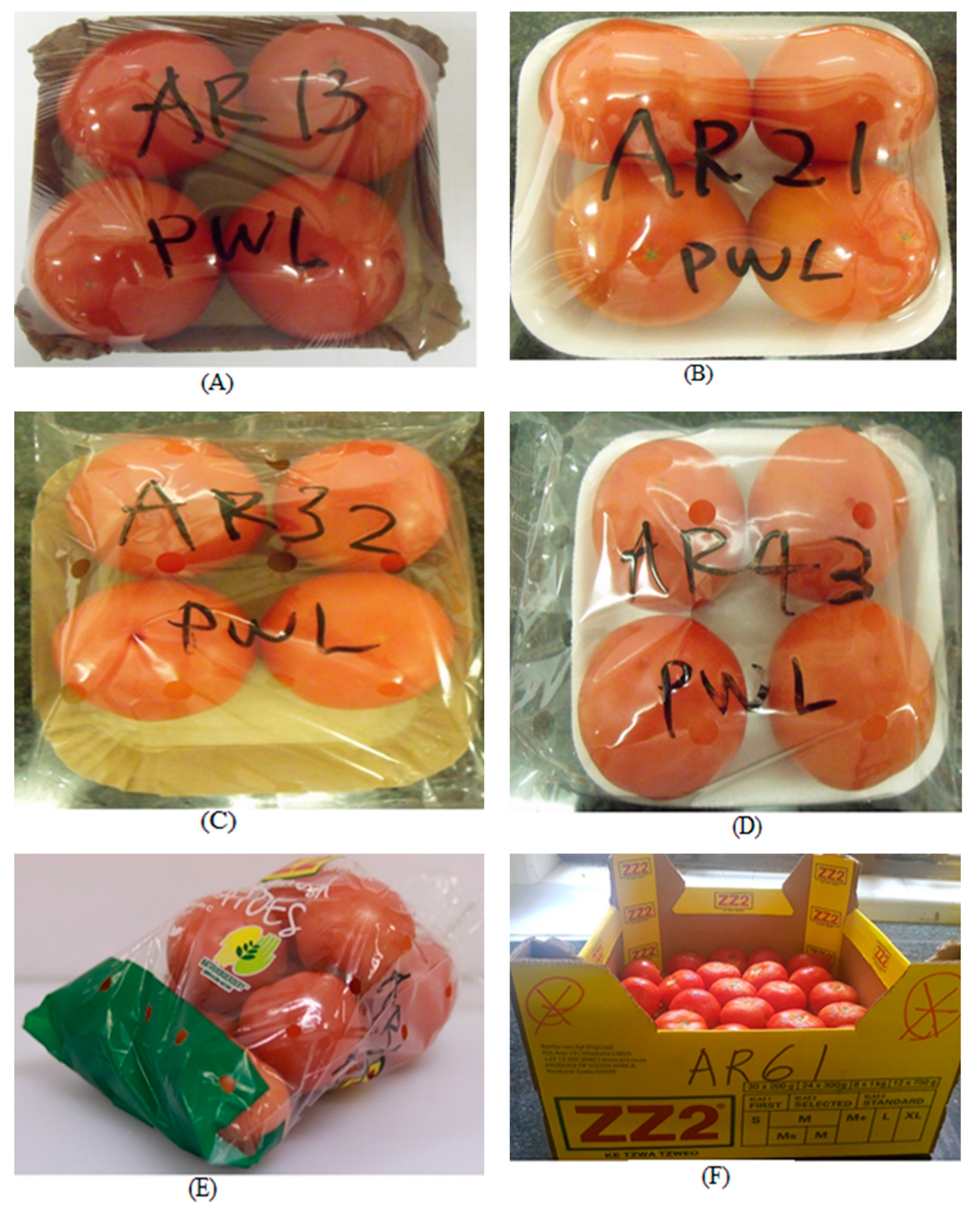 Applsci 13 02100 g001 Applsci 13 02100 g001