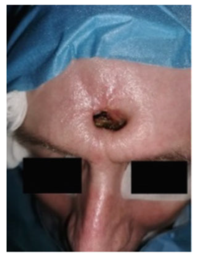 Applsci 13 02107 g002