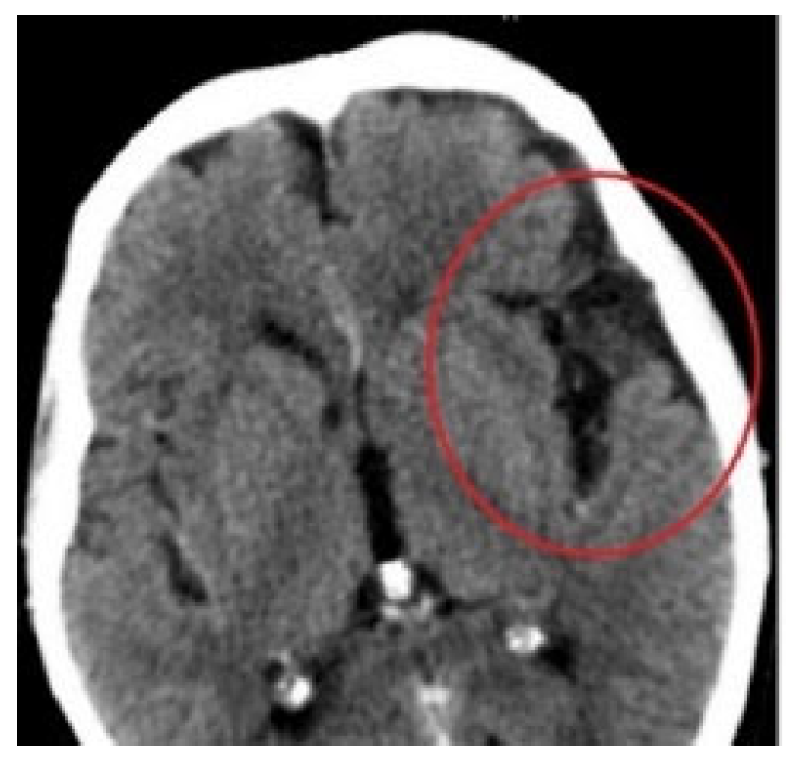 Applsci 13 02107 g008