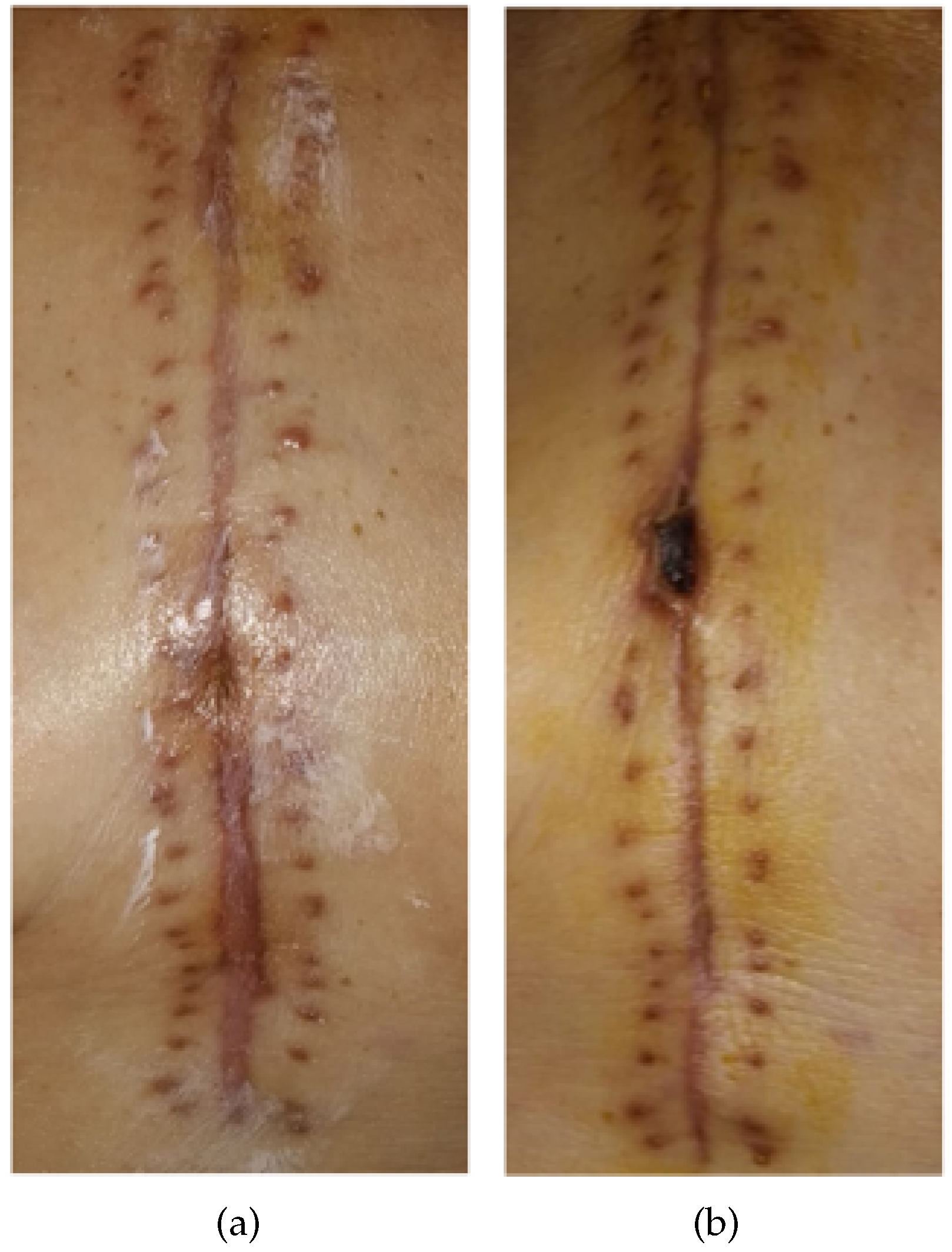 Applsci 13 02120 g002