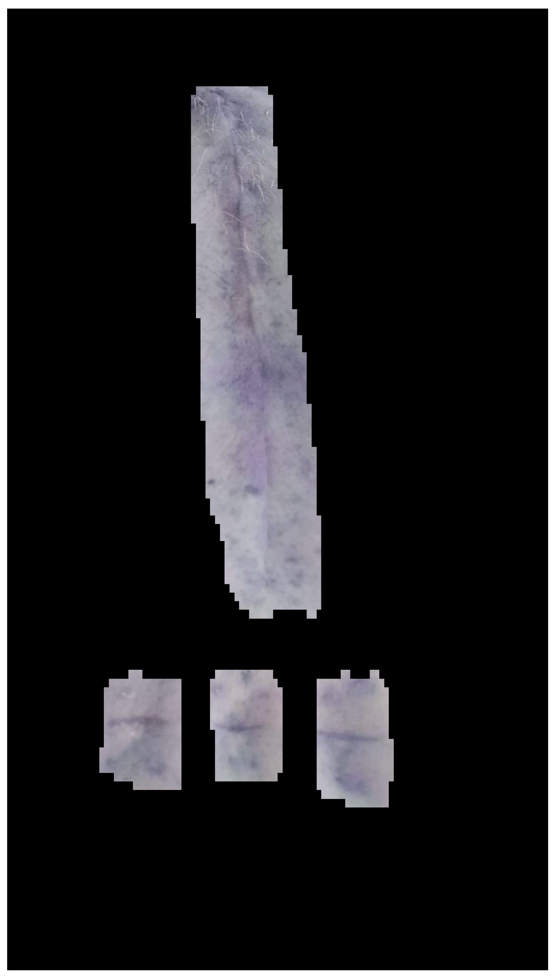 Applsci 13 02120 g006