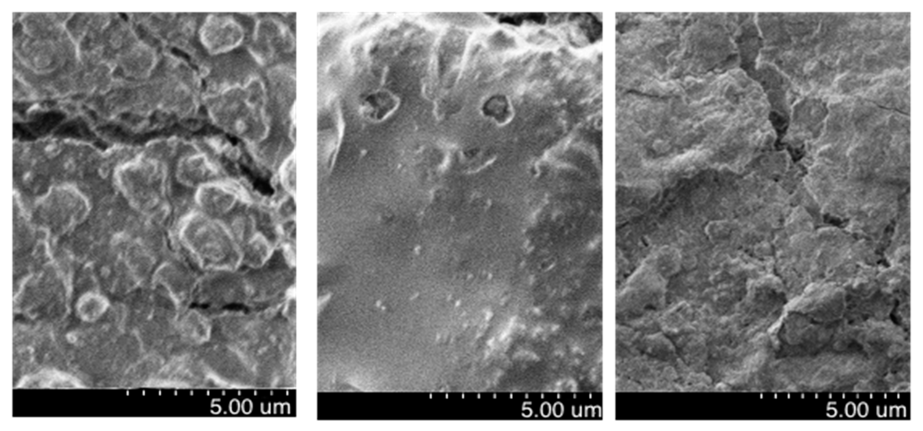 Applsci 13 02124 g006 550