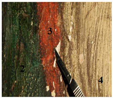 Applsci 13 02124 i002