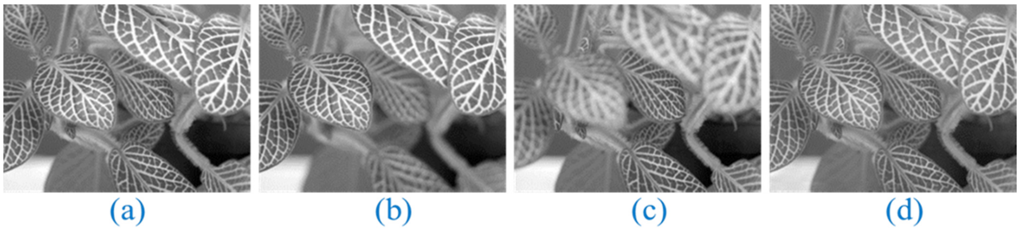 Applsci 13 02138 g014 550