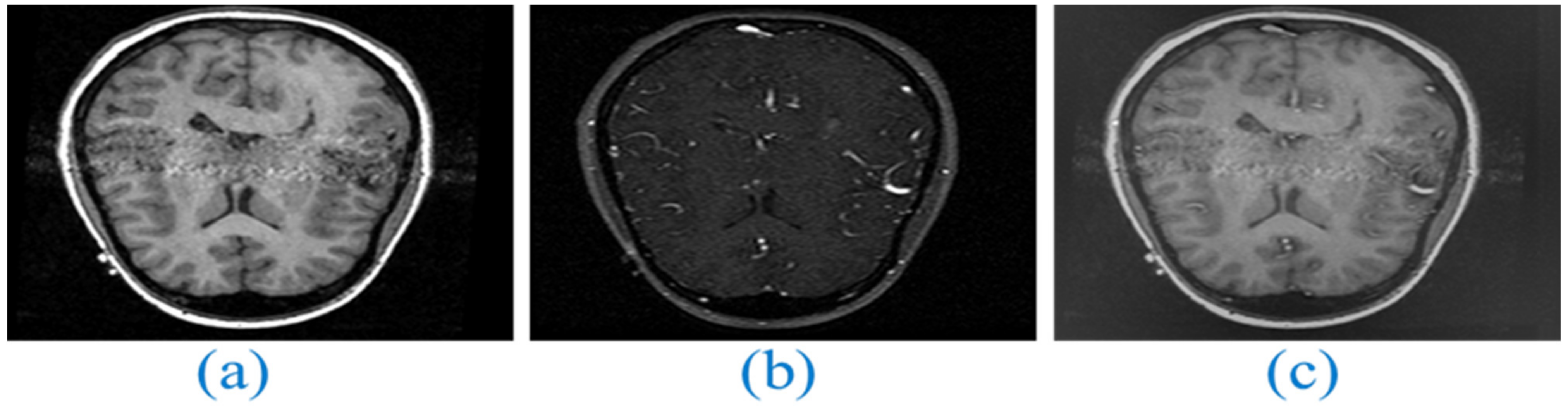 Applsci 13 02138 g021 550